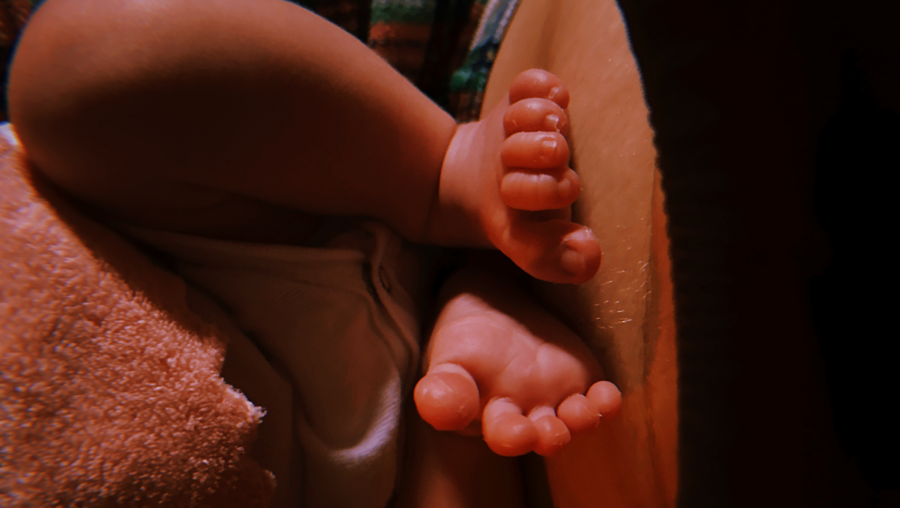 Aid a Family's Move to a Better Future photo