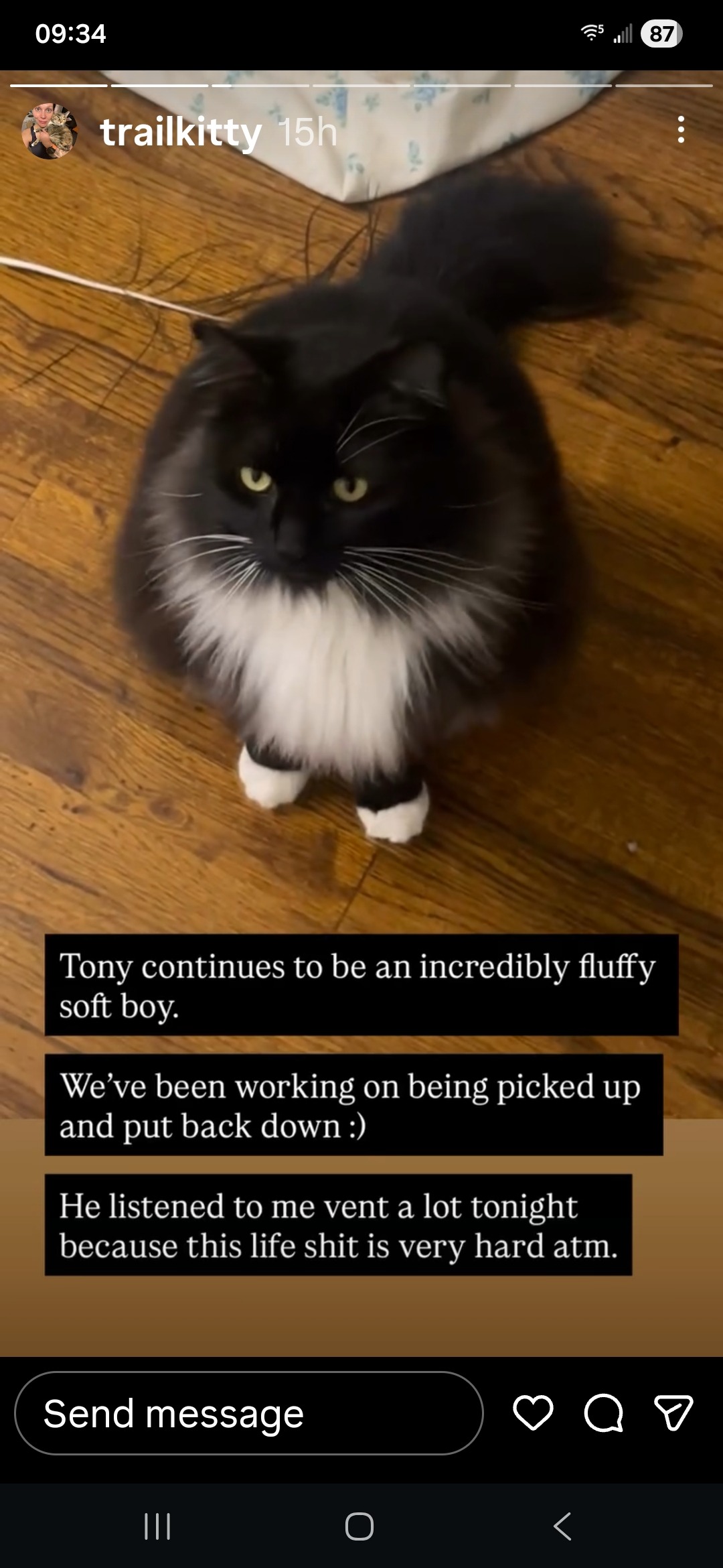 Support for Portland Community Cat Caregiver campaign photo, 6 of 7