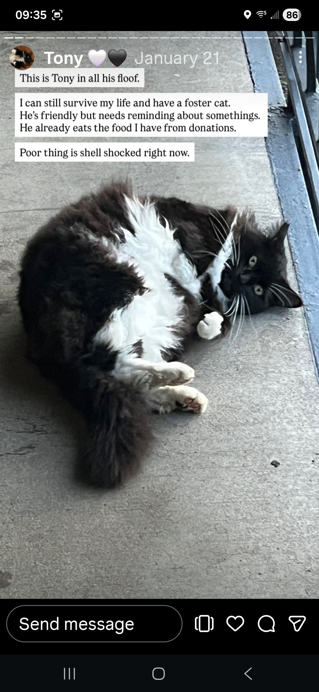Support for Portland Community Cat Caregiver campaign photo, 2 of 7