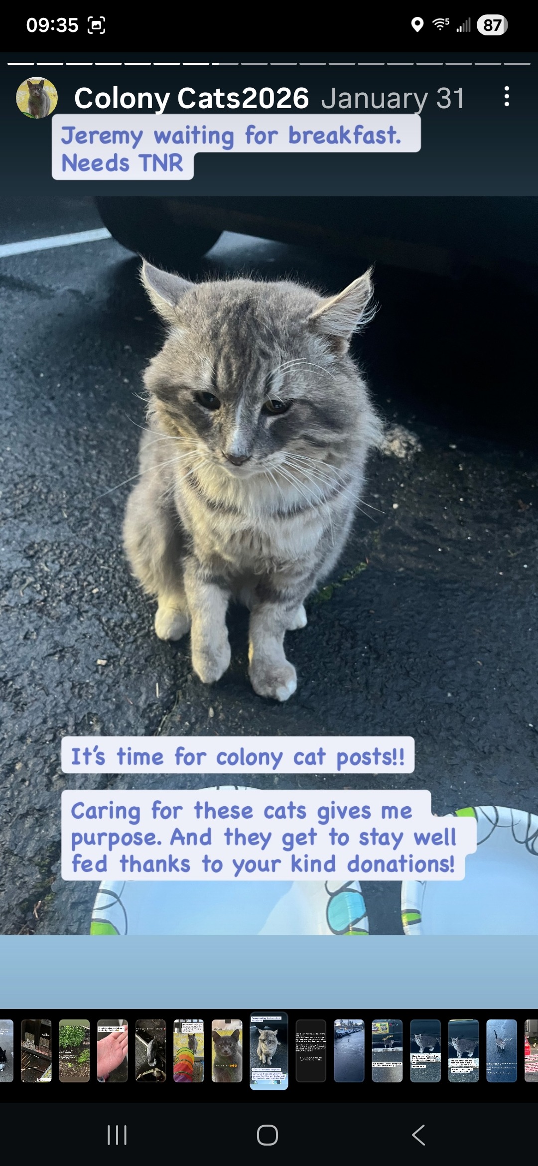 Support for Portland Community Cat Caregiver campaign photo, 4 of 7