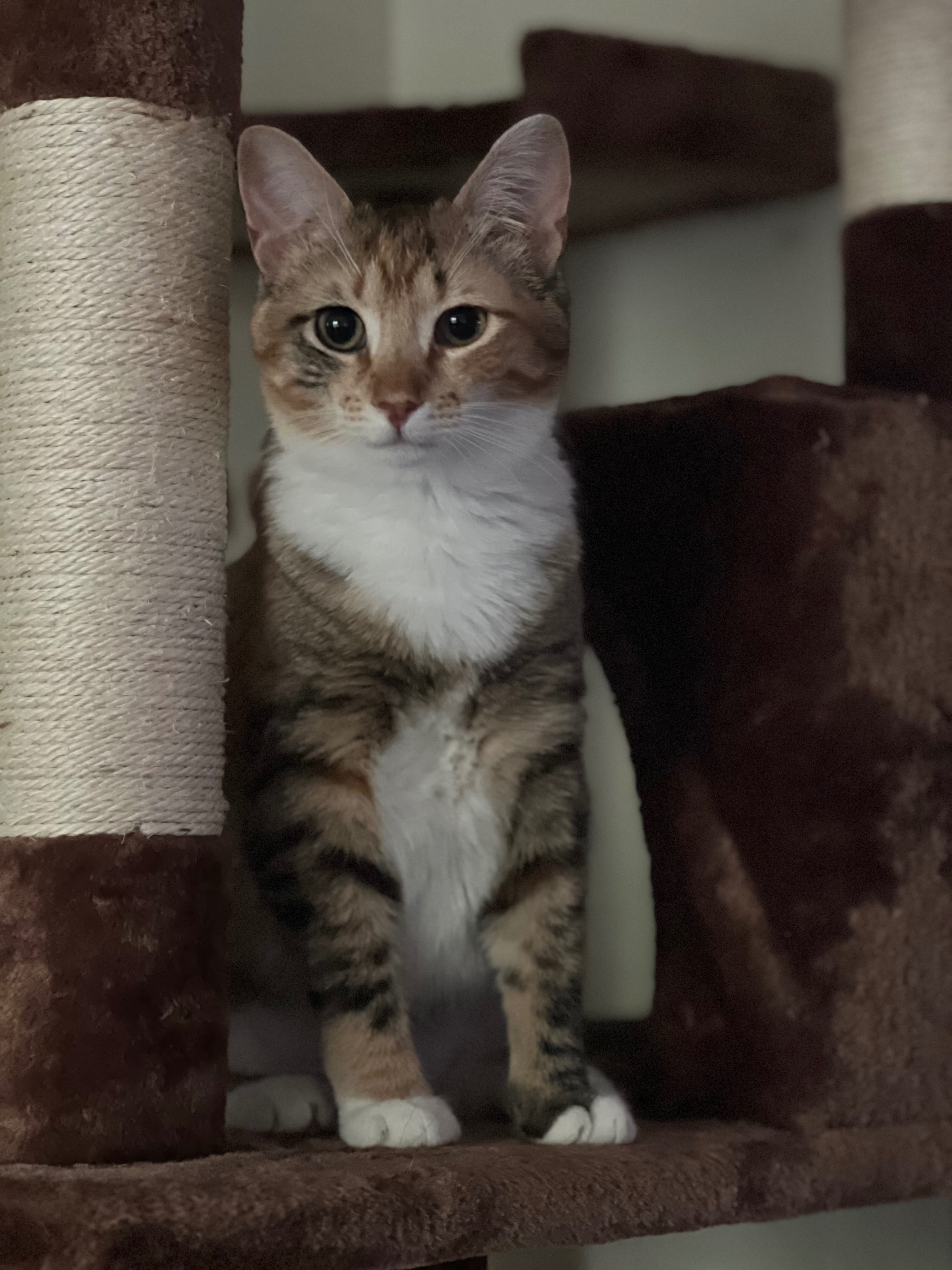 Help Rosemary Fight Lymphoma campaign photo, 4 of 5