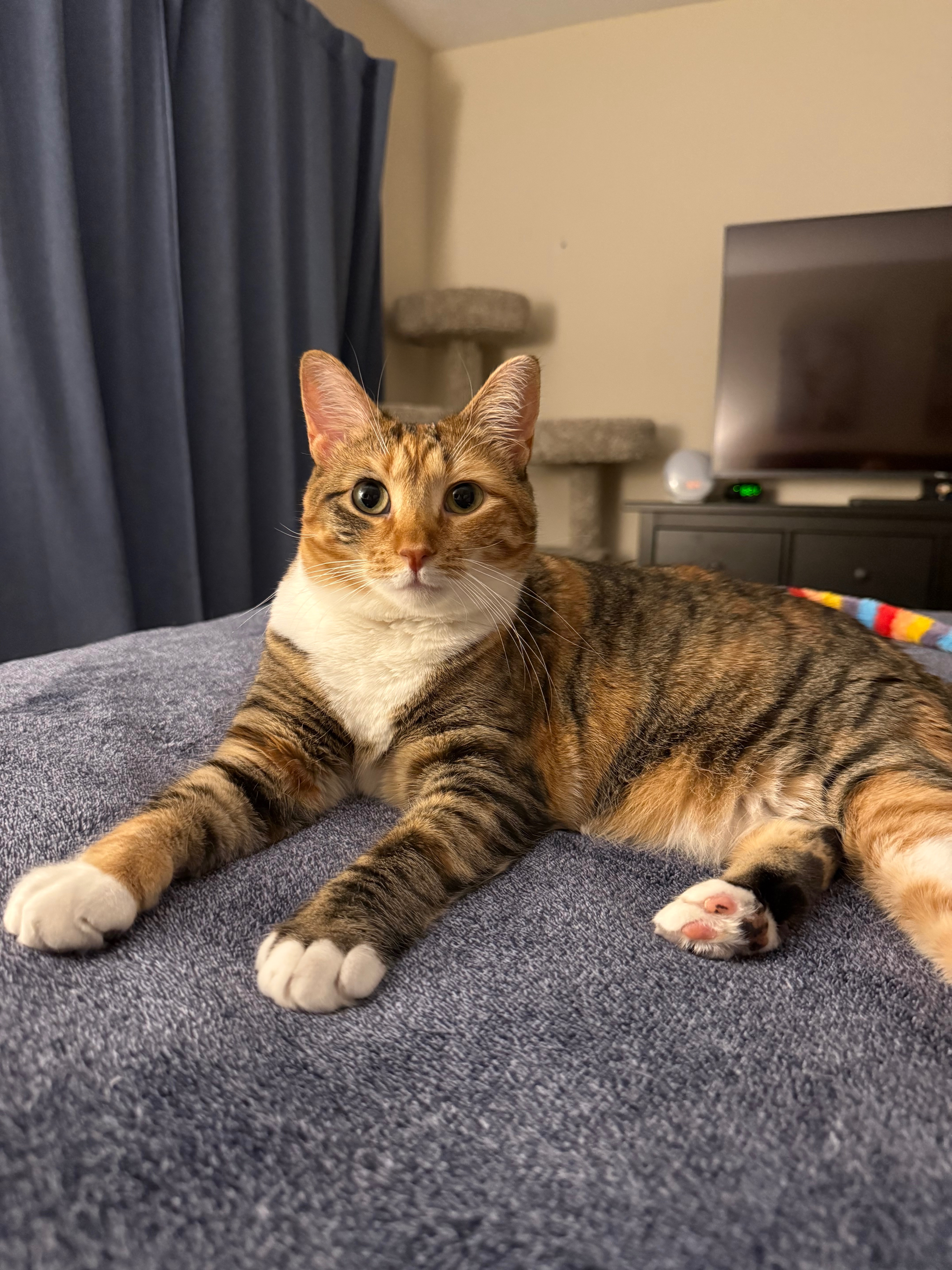 Help Rosemary Fight Lymphoma campaign photo, 2 of 5