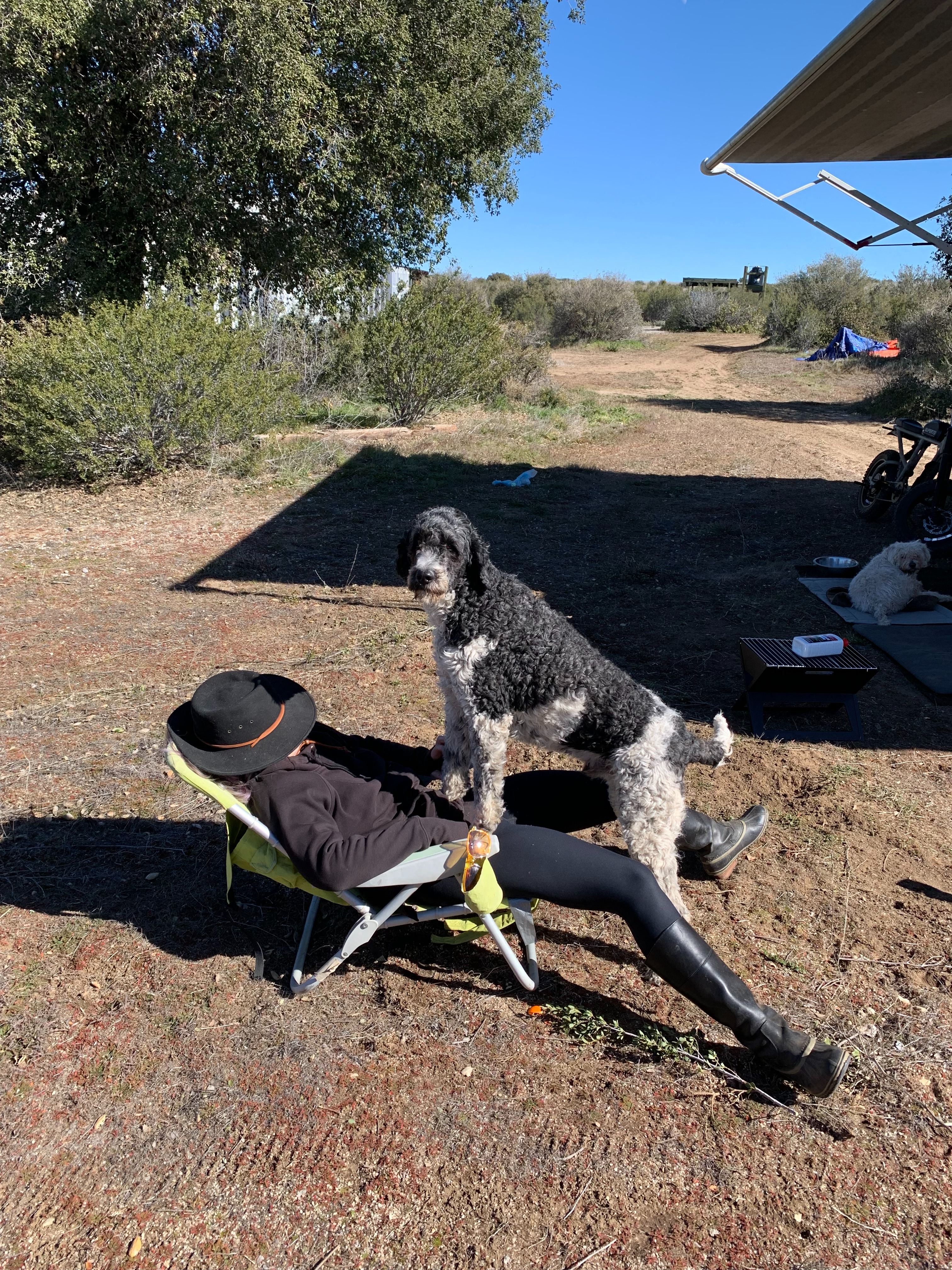 Help Desmo Recover: Emergency Surgery & Care campaign photo, 2 of 8