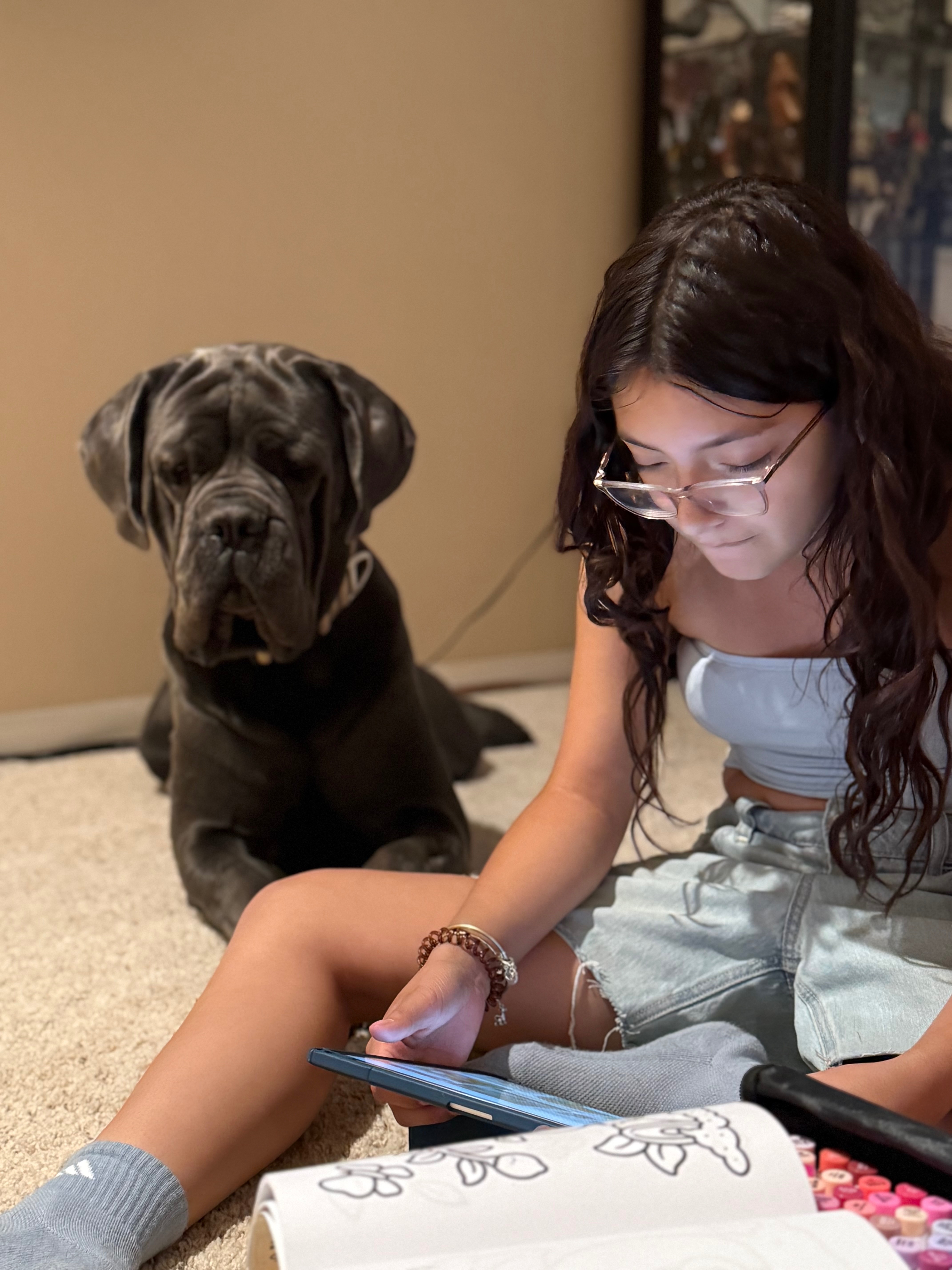 Help Save Bullet’s Life with Emergency Surgery campaign photo, 5 of 8