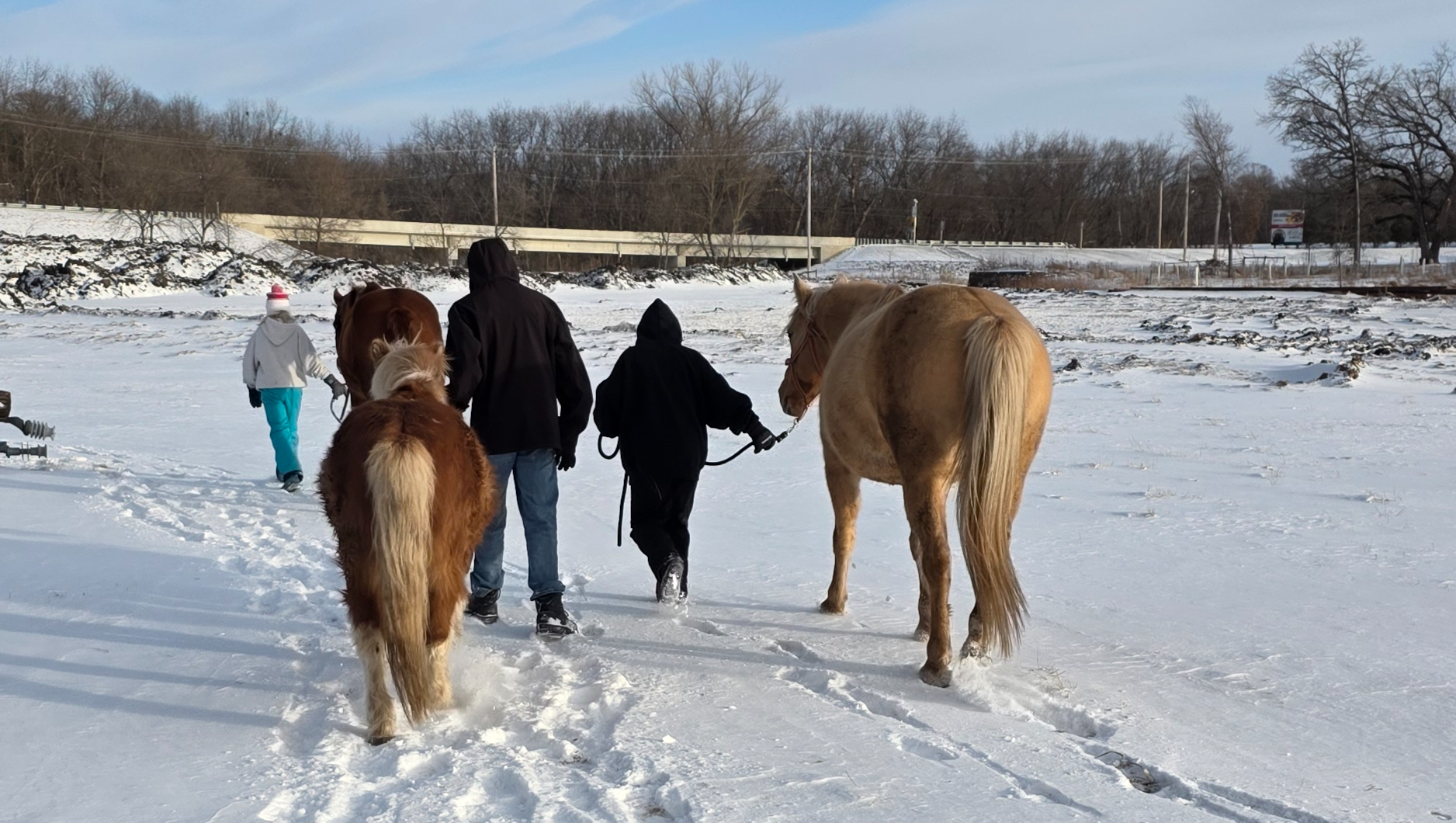 Help Reborn Ranch Change Lives photo