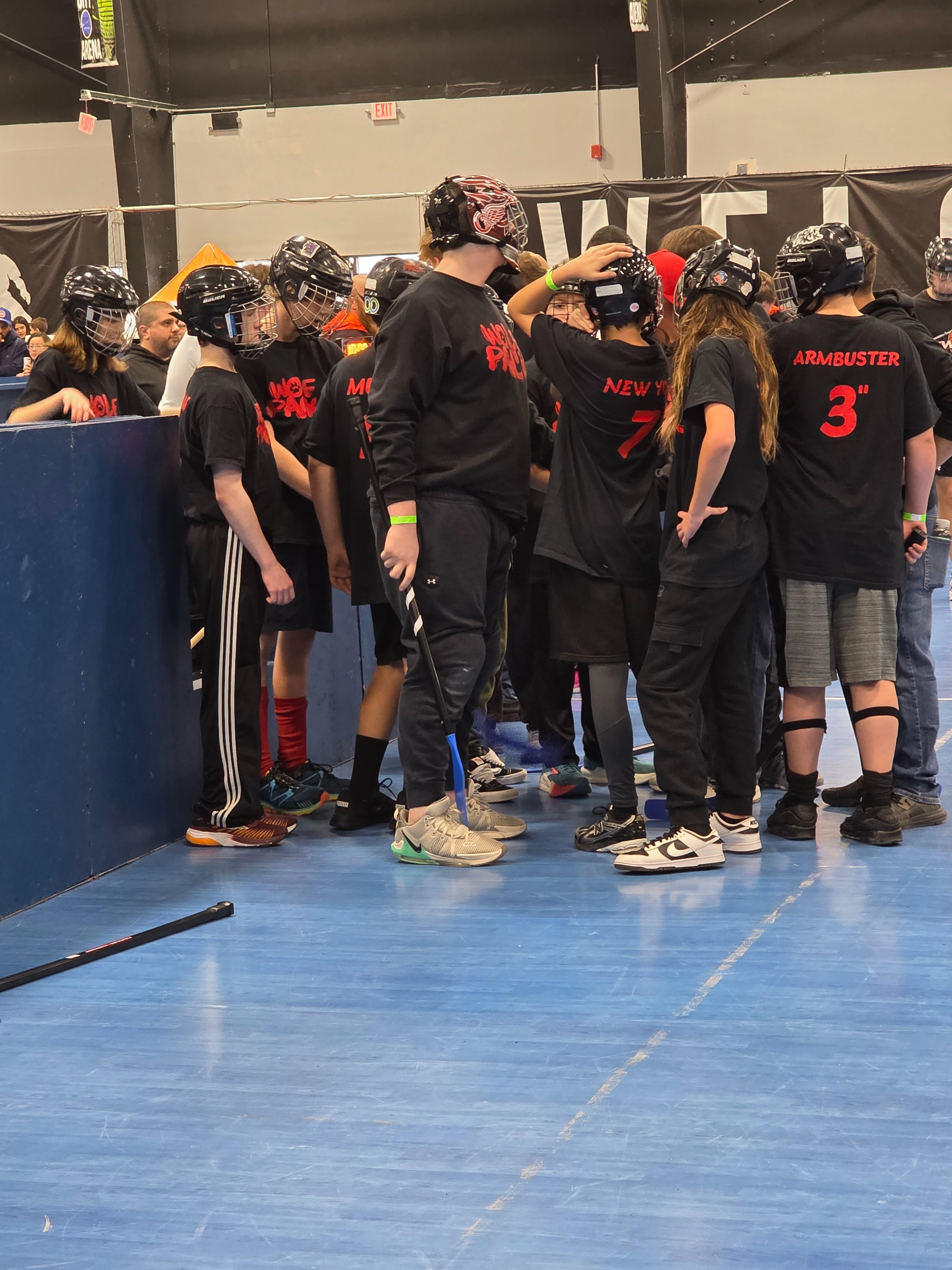 Support Wolfpack 14u's Final Tournament campaign photo, 2 of 5
