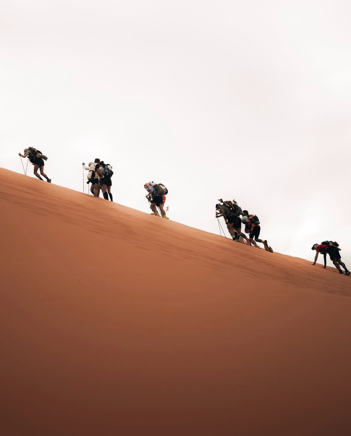 Running the Sahara to Save Street Dogs campaign photo, 4 of 5