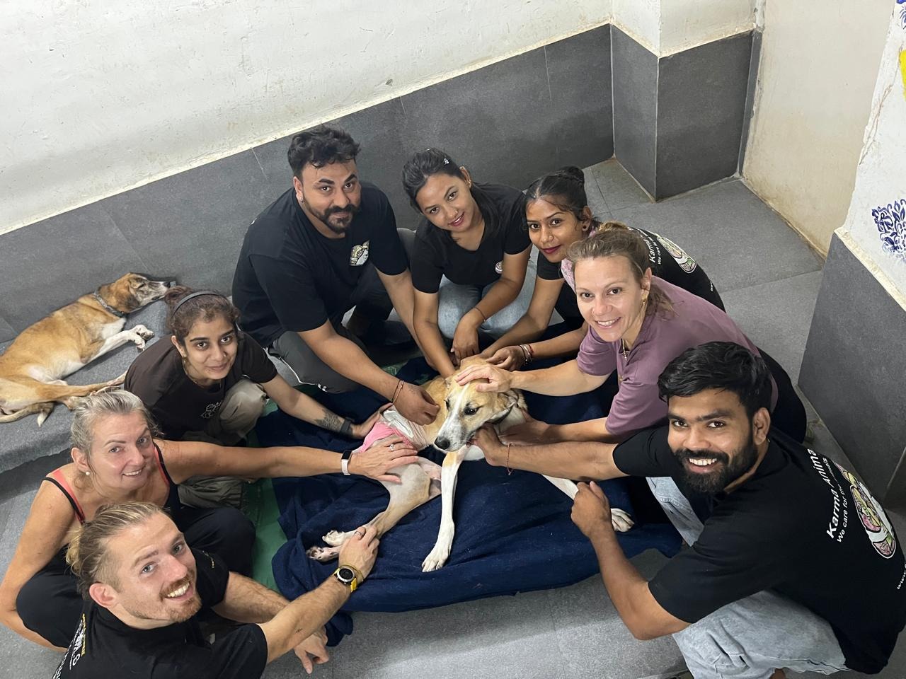 Running the Sahara to Save Street Dogs campaign photo, 2 of 5