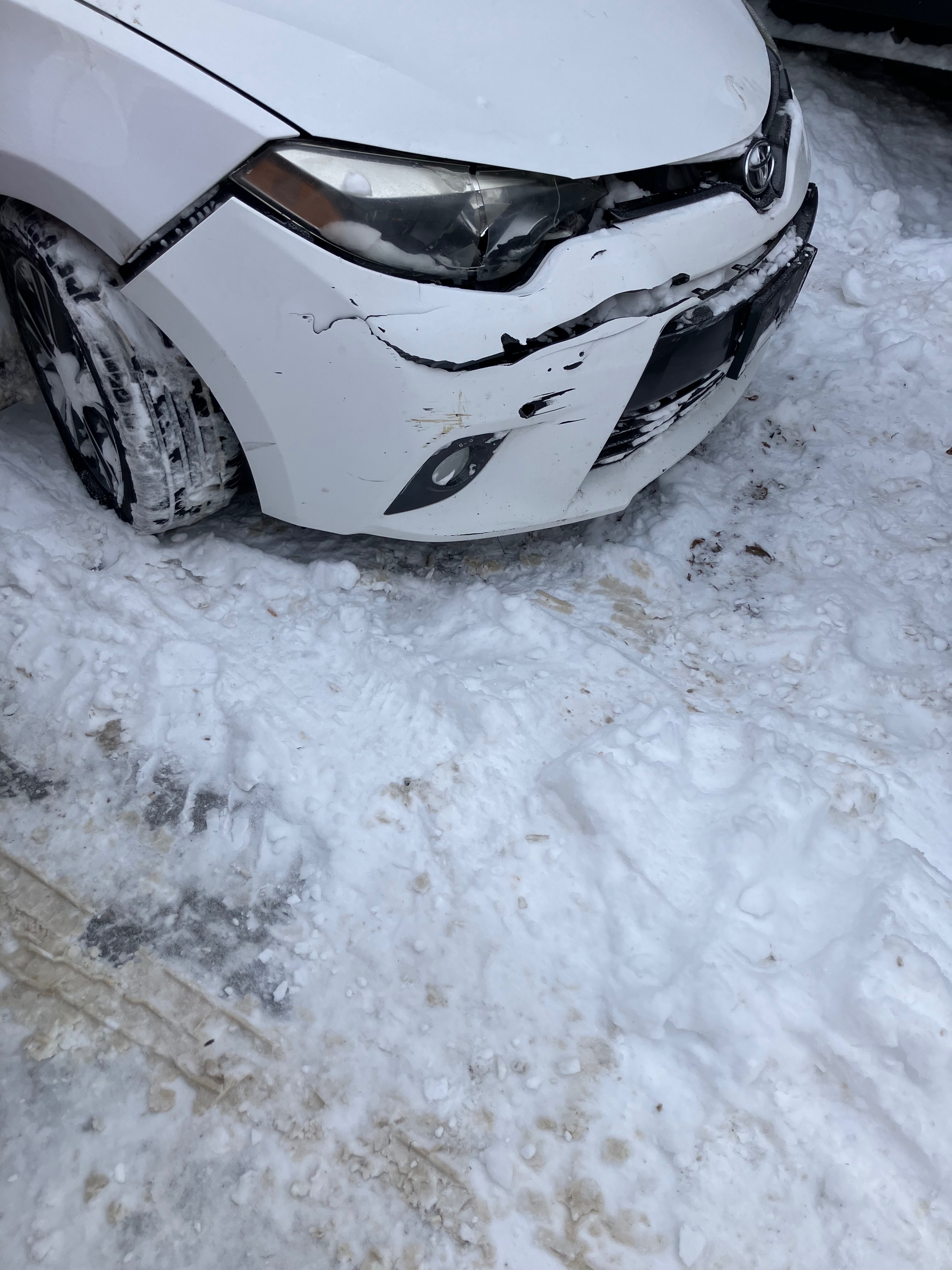 i crashed my car and need help campaign photo, 2 of 4