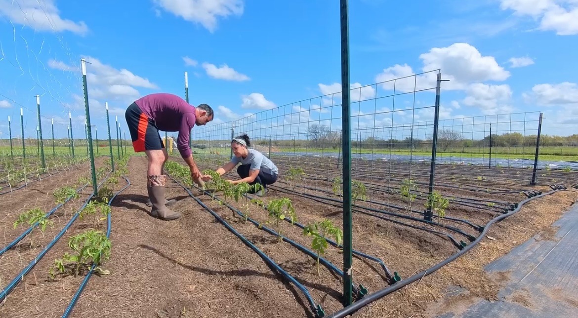 Help Build a High Tunnel for Our Texas Farm campaign photo, 7 of 8