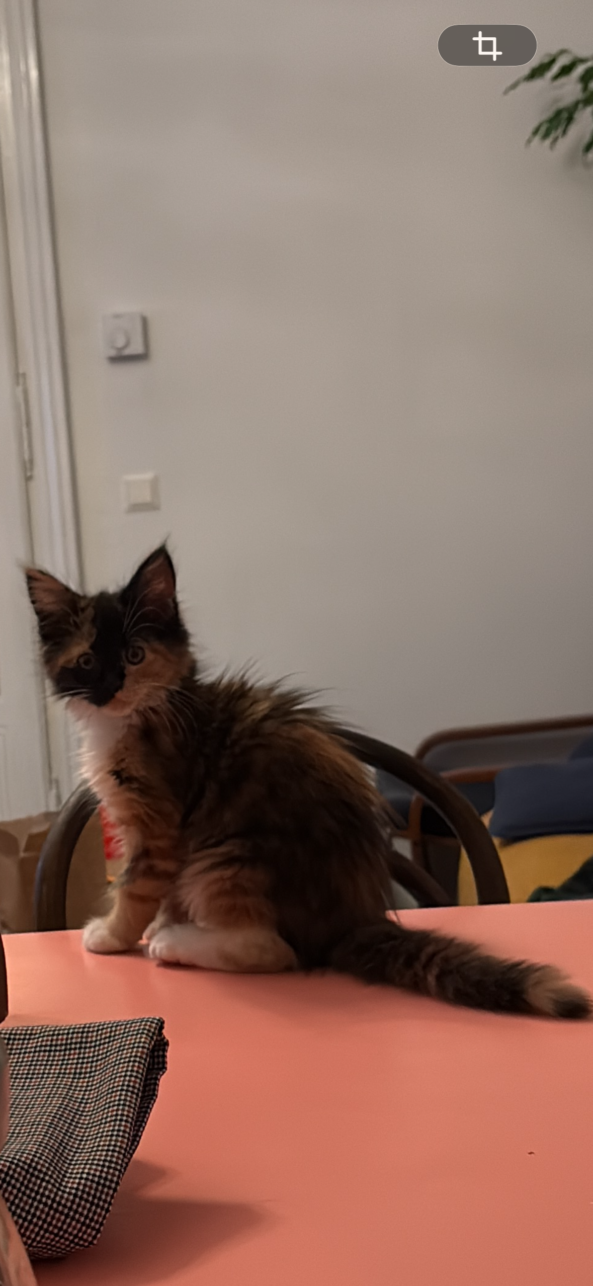 Mikas Operation campaign photo, 7 of 8