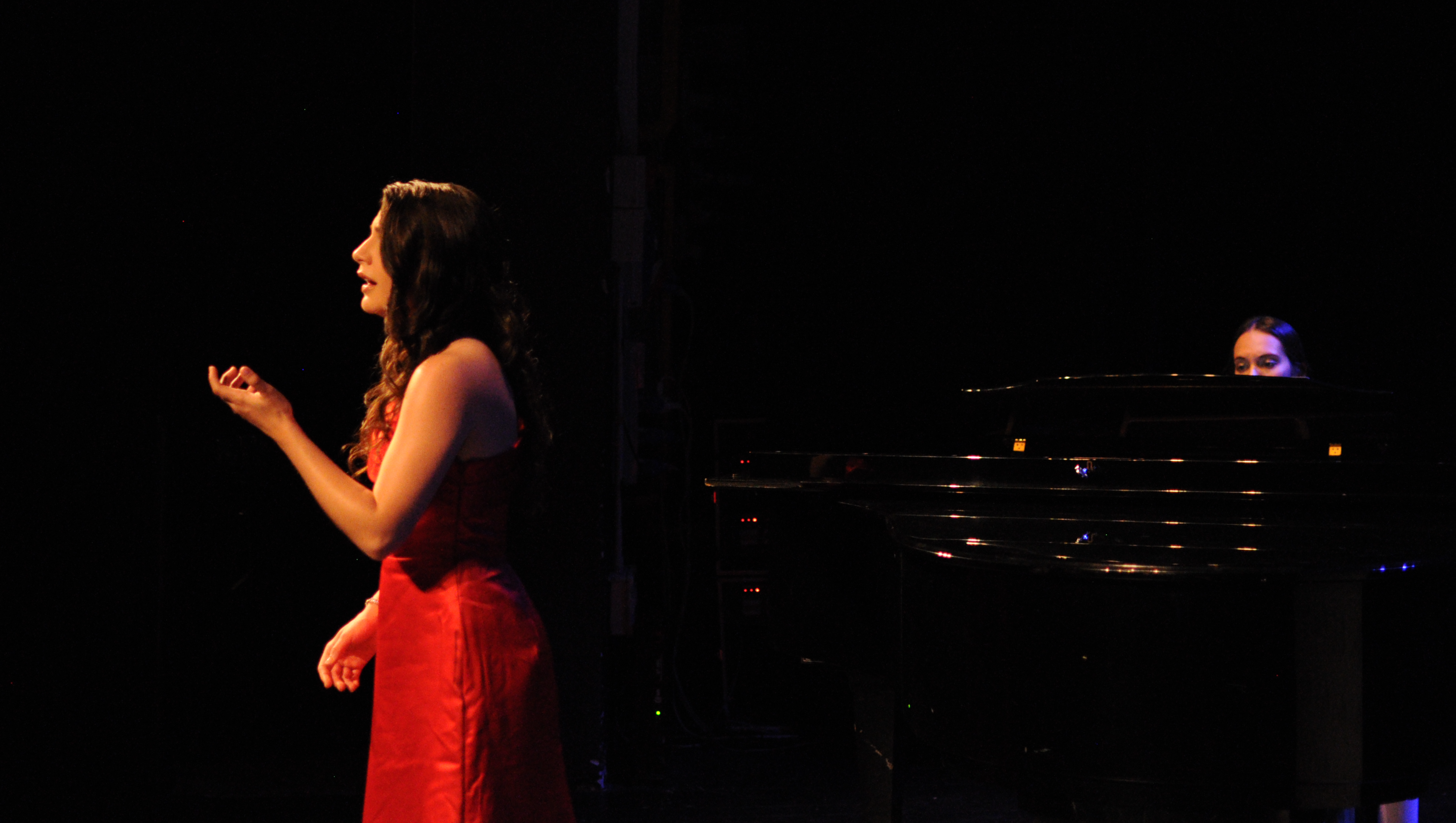 Celina's Young Artist Program Funds photo