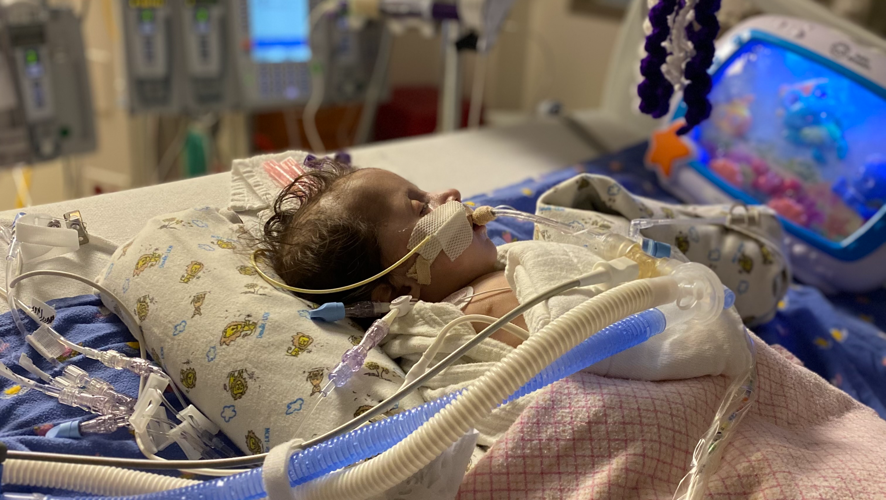 Support for Our Daughter’s Heart Surgery