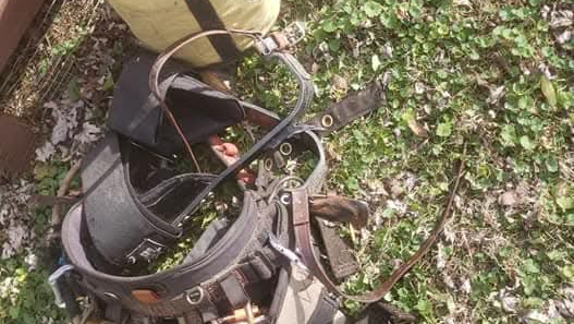 Help James Rebuild Tree Techniques After Theft photo