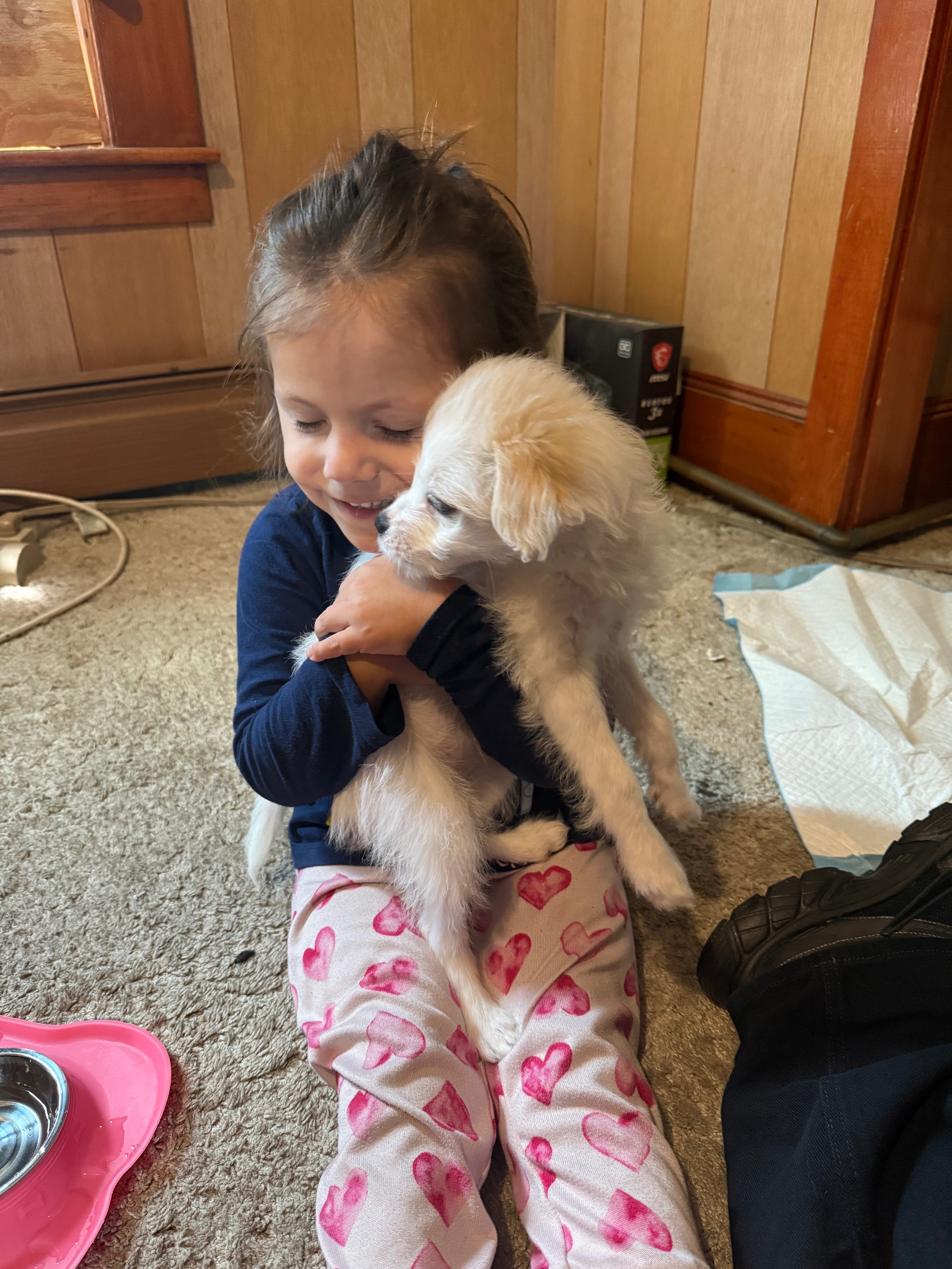 Bring Back Eevee’s Joyful Puppy Days campaign photo, 5 of 8