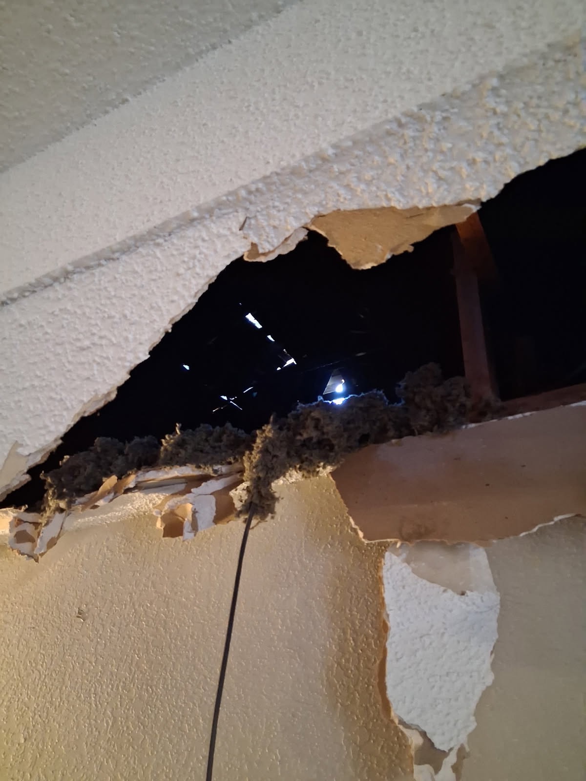 Help A Mom Rebuild After Fire campaign photo, 4 of 5