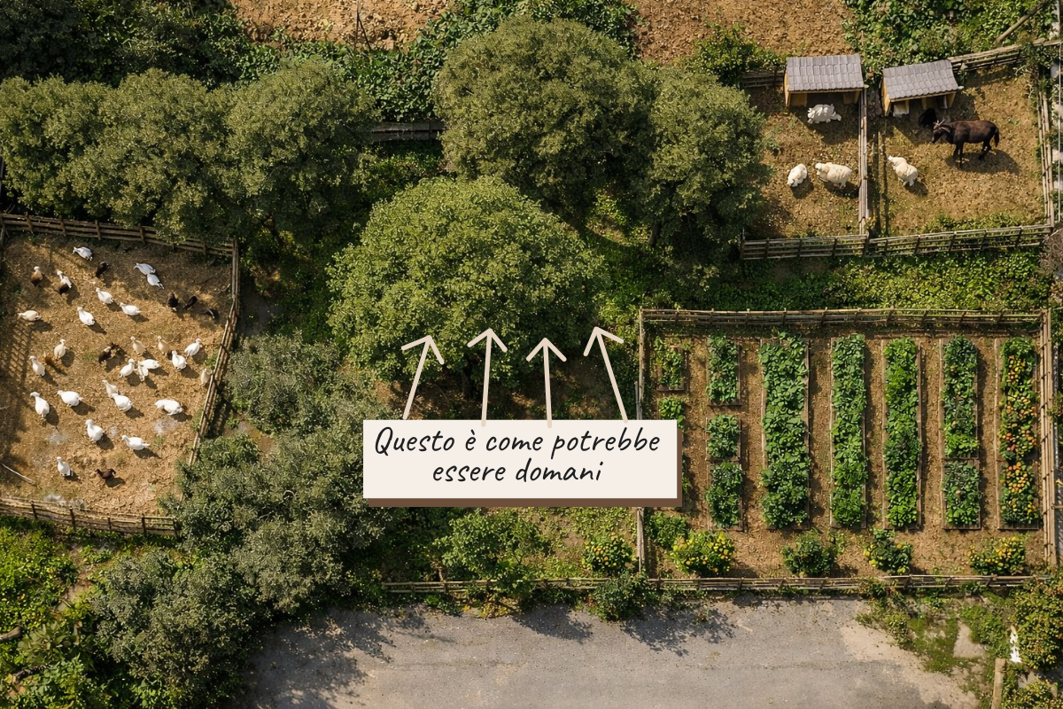 Donazione per L'Orto di Eugenio campaign photo, 2 of 5