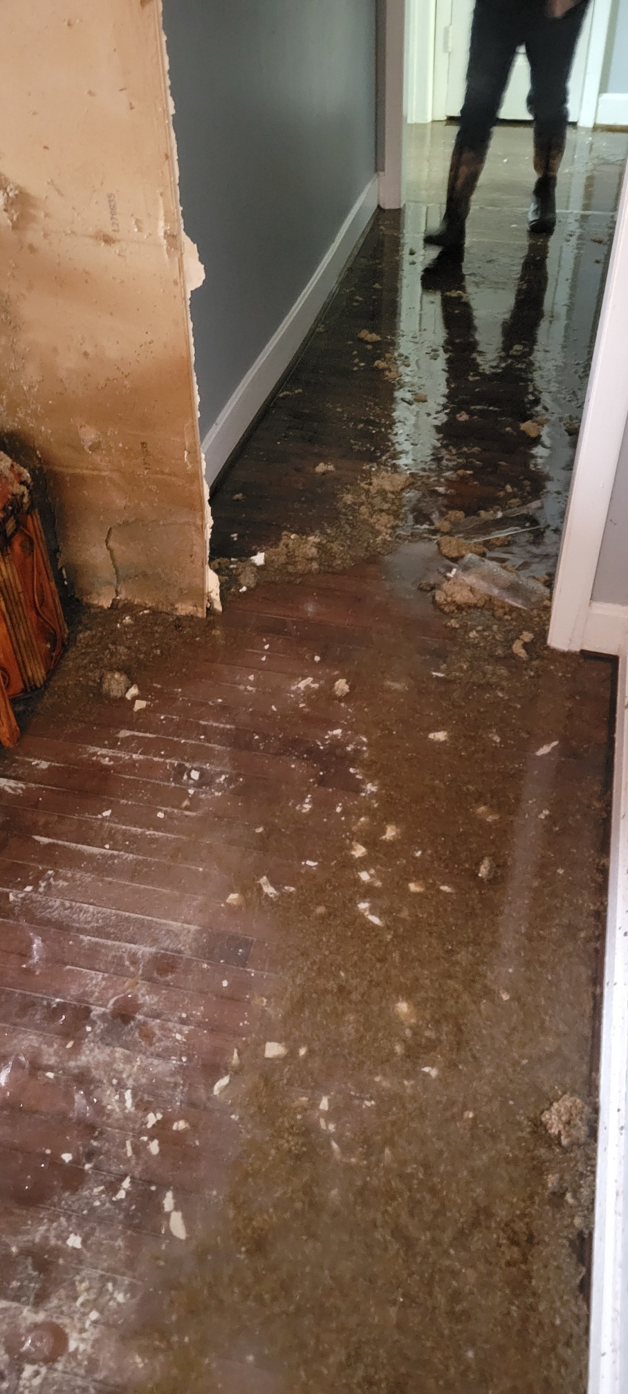Help The Meyer's Family Recover From the Nashville Ice Storm campaign photo, 7 of 8