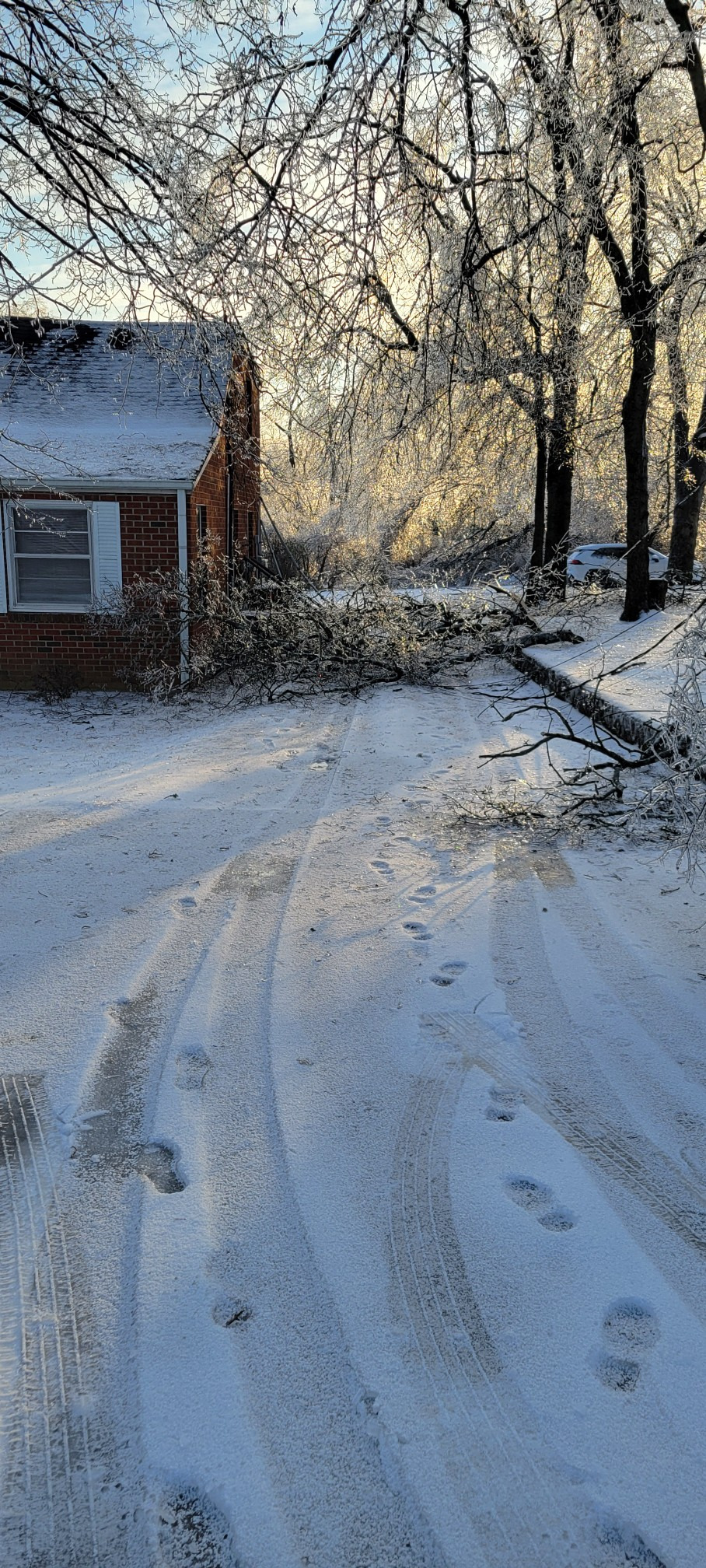 Help The Meyer's Family Recover From the Nashville Ice Storm campaign photo, 4 of 8