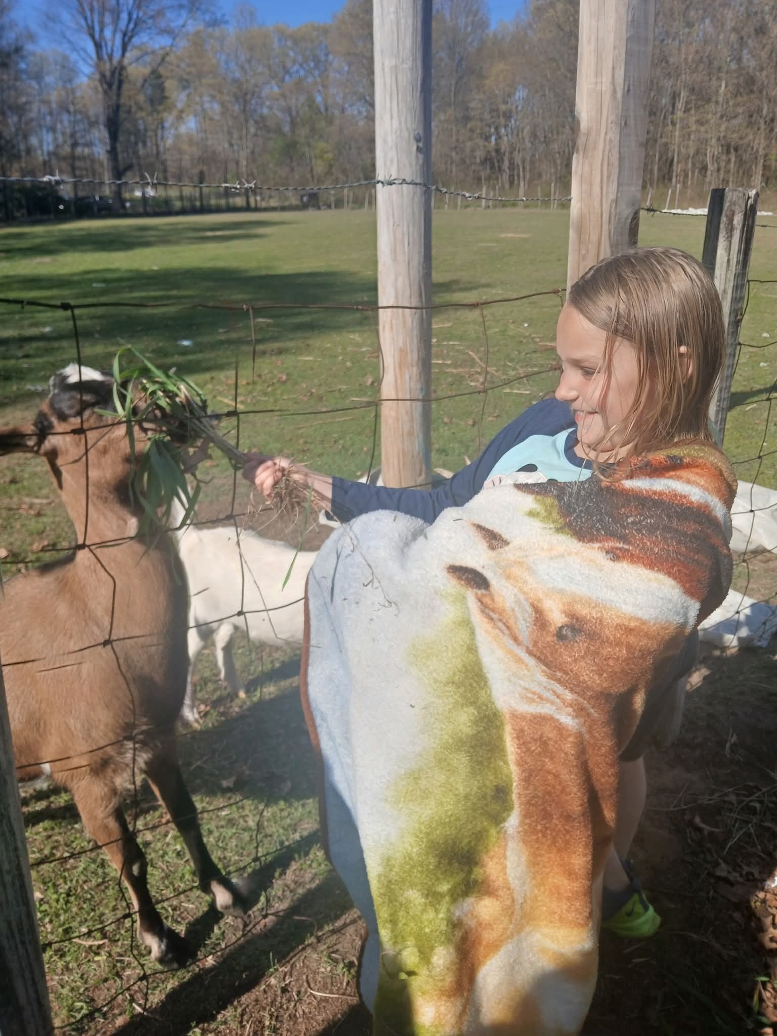 Help a mom keep her home while she battles her illness campaign photo, 4 of 7