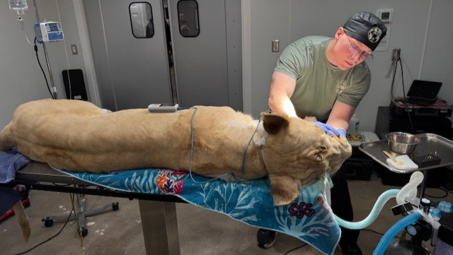 No Animal Should Suffer:Support Lifesaving Care for Wildlife photo