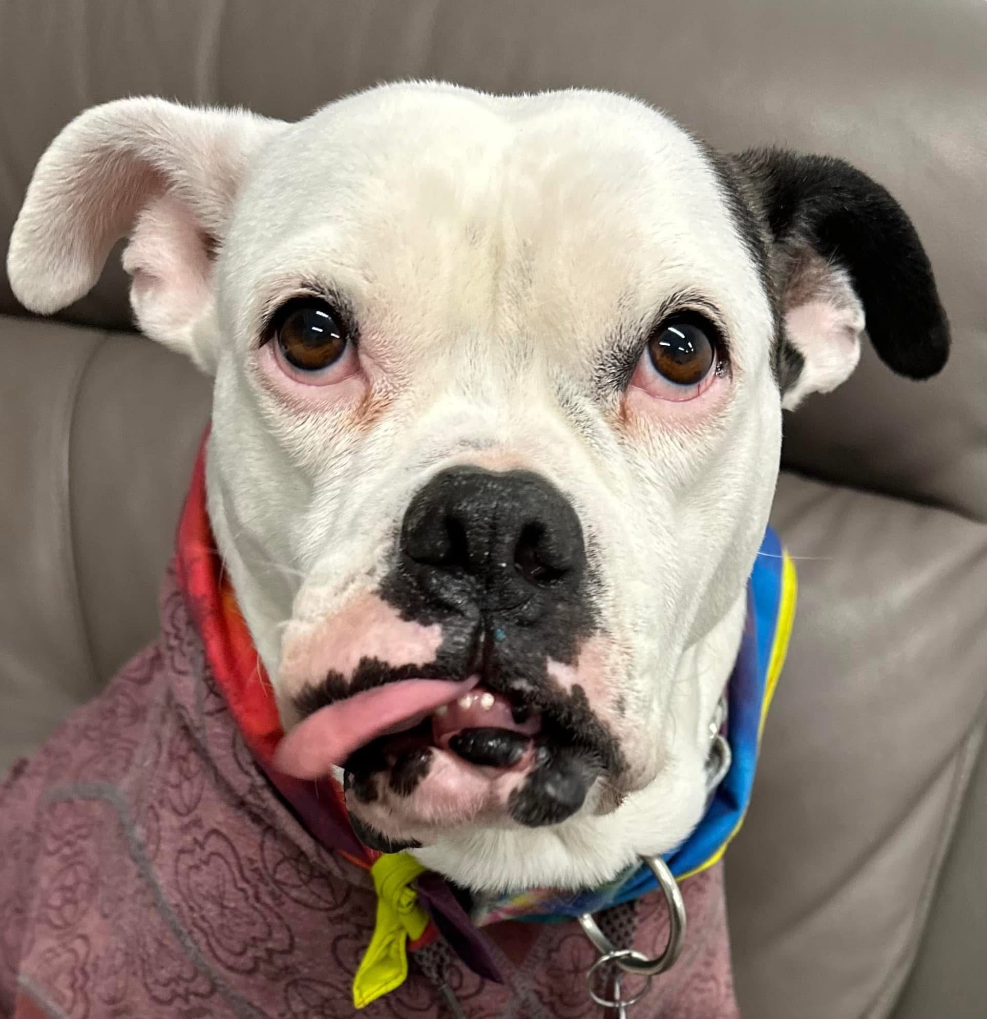 Help Sissy Enjoy Her Hard-Fought Life campaign photo, 7 of 8