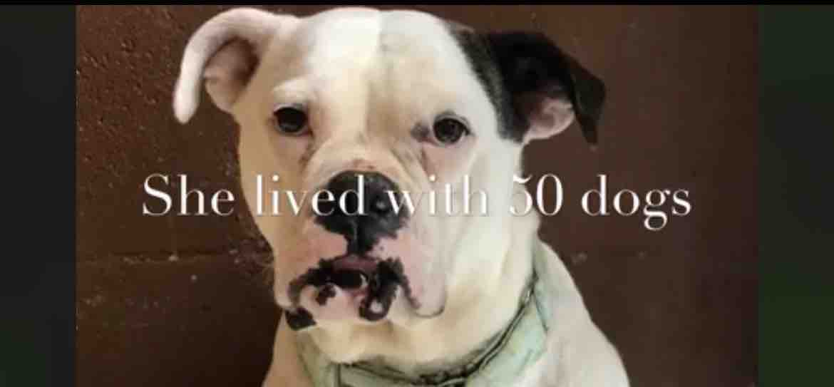 Help Sissy Enjoy Her Hard-Fought Life campaign photo, 2 of 8