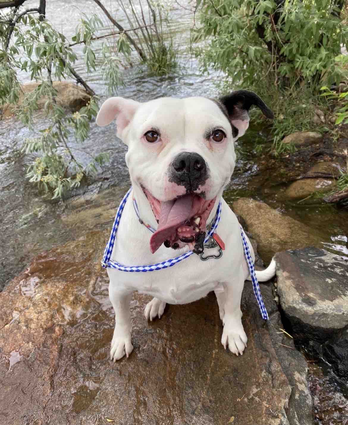 Help Sissy Enjoy Her Hard-Fought Life campaign photo, 6 of 8
