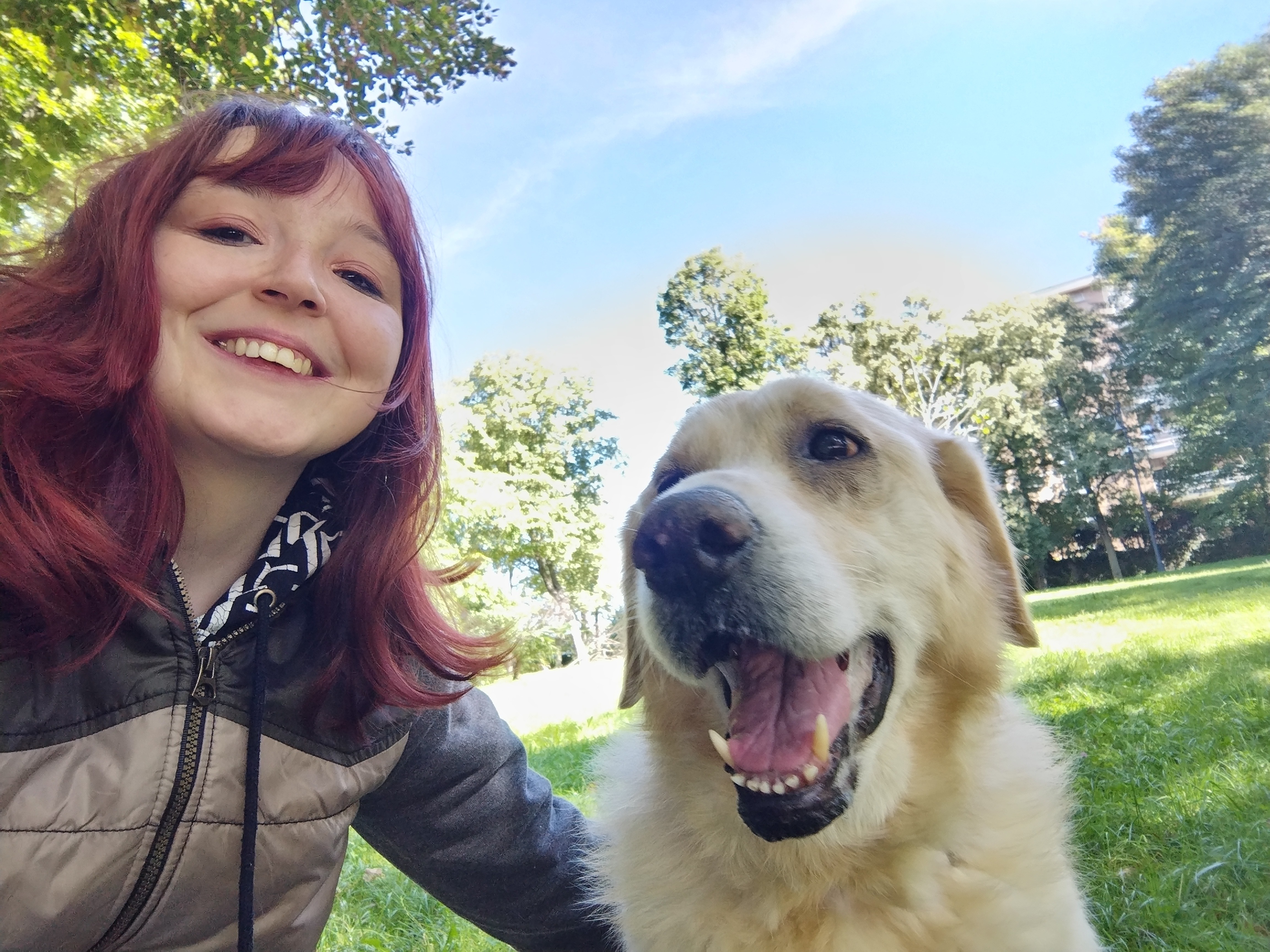 Help Nala, the cute dog campaign photo, 5 of 7