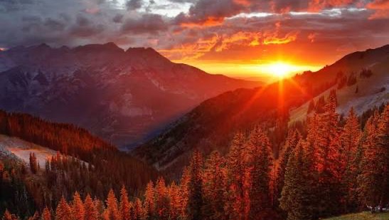 Empower a Heart to Heal and Inspire photo