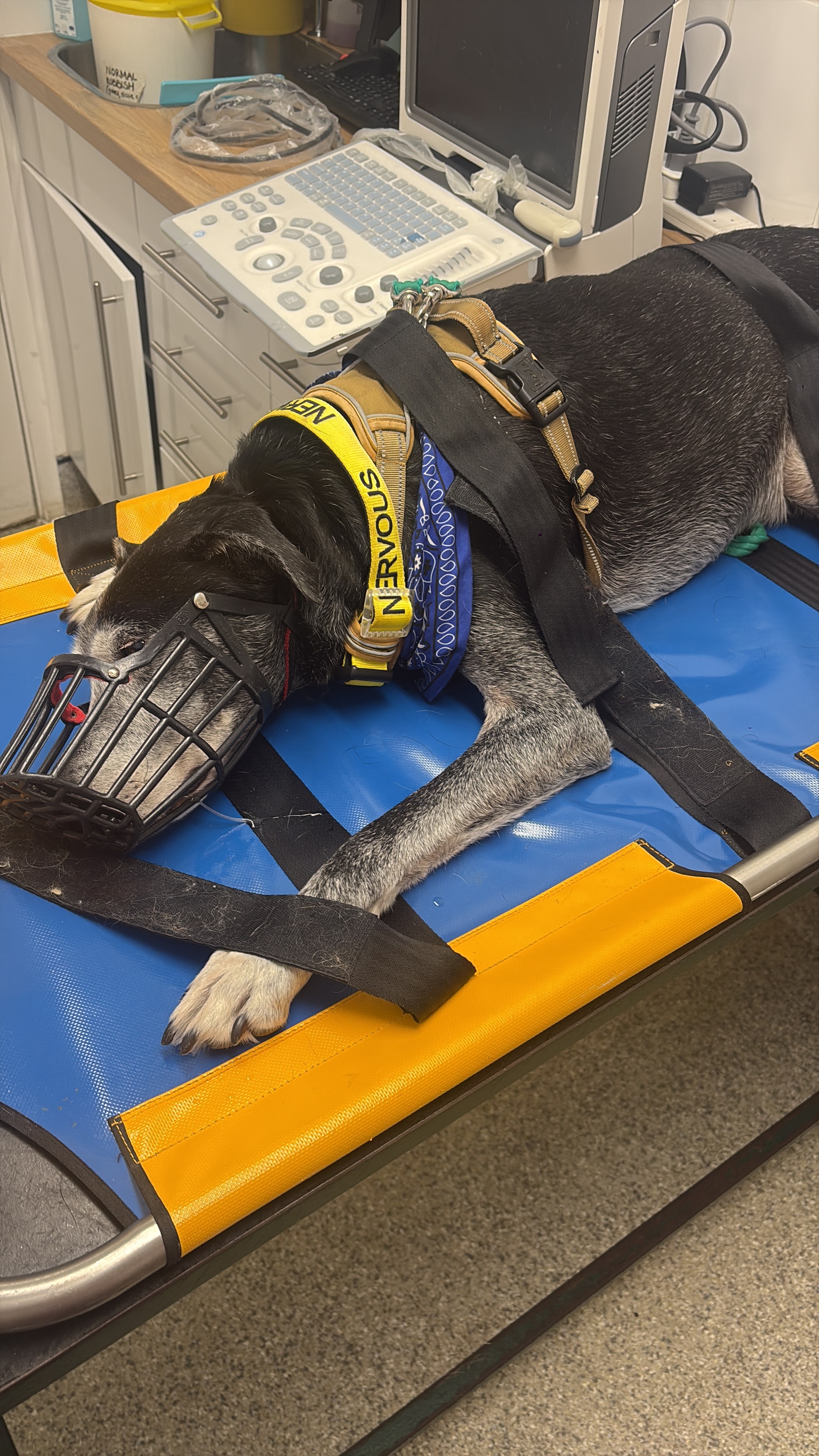 Jones' Life Saving Surgery campaign photo, 7 of 8