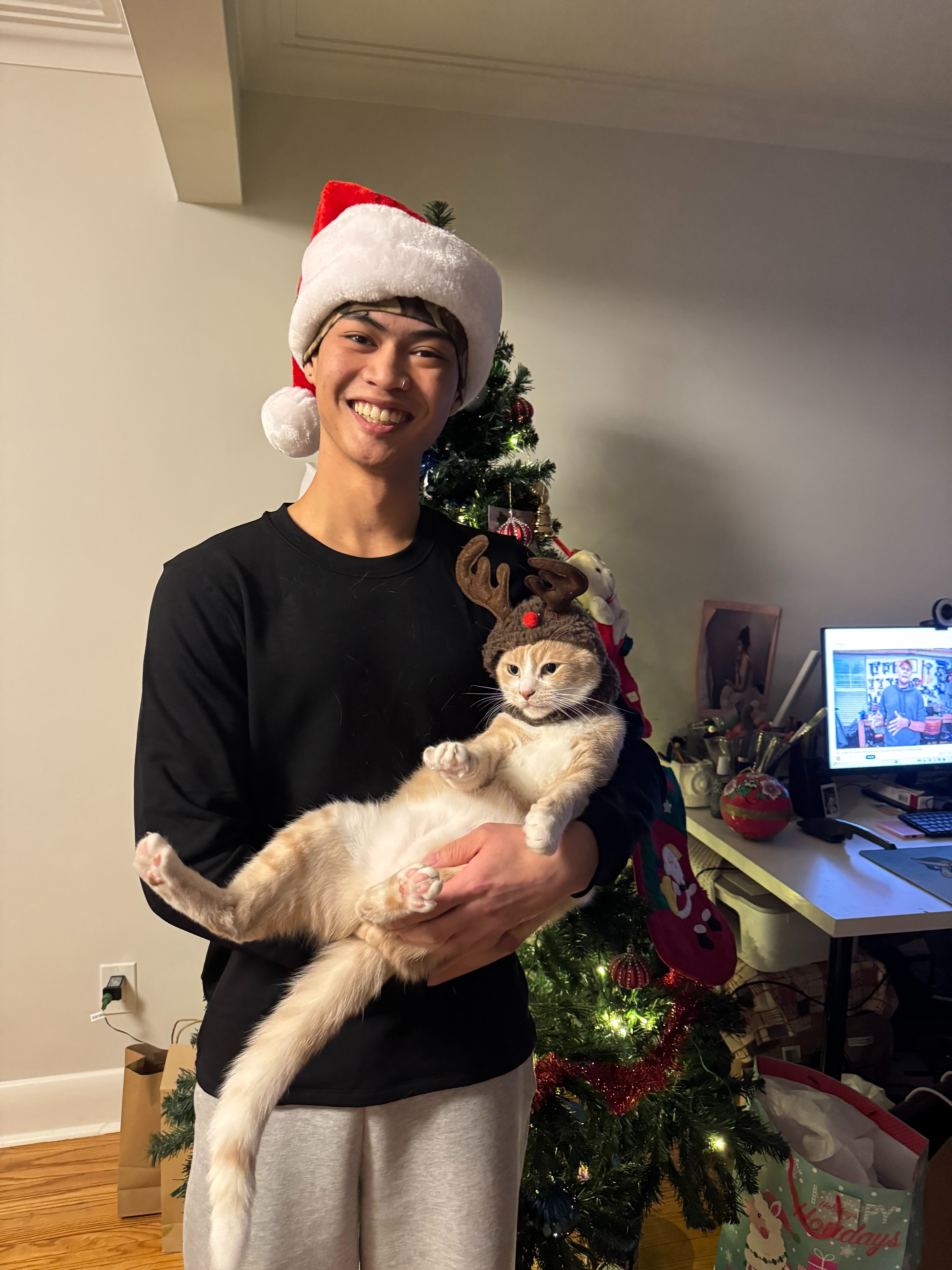 Help My Family's Cat Ray With an Emergency Procedure campaign photo, 4 of 7