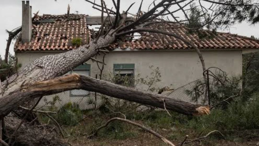 Urgent help for families affectd by the storm in Leiria photo
