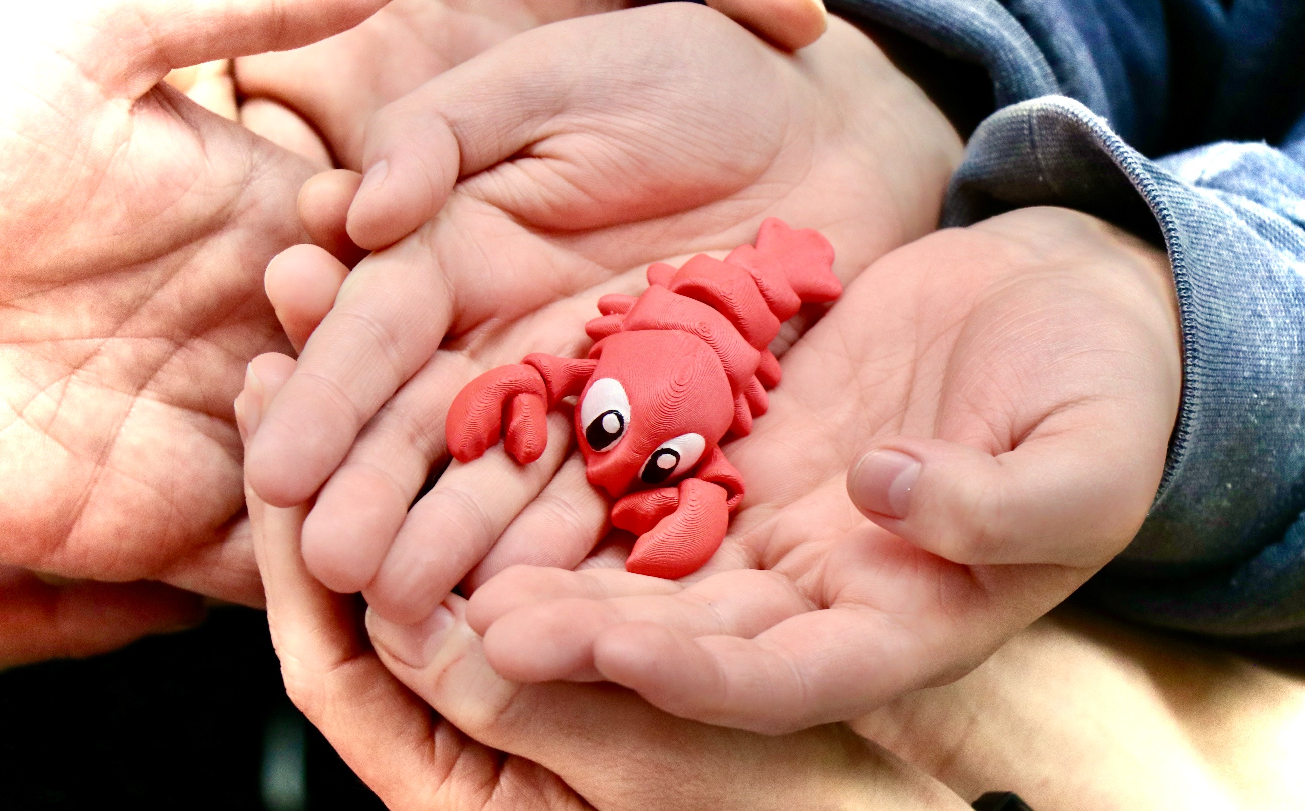 Claws to the Coast: Rosie's Great East Coast Adventure campaign photo, 4 of 6