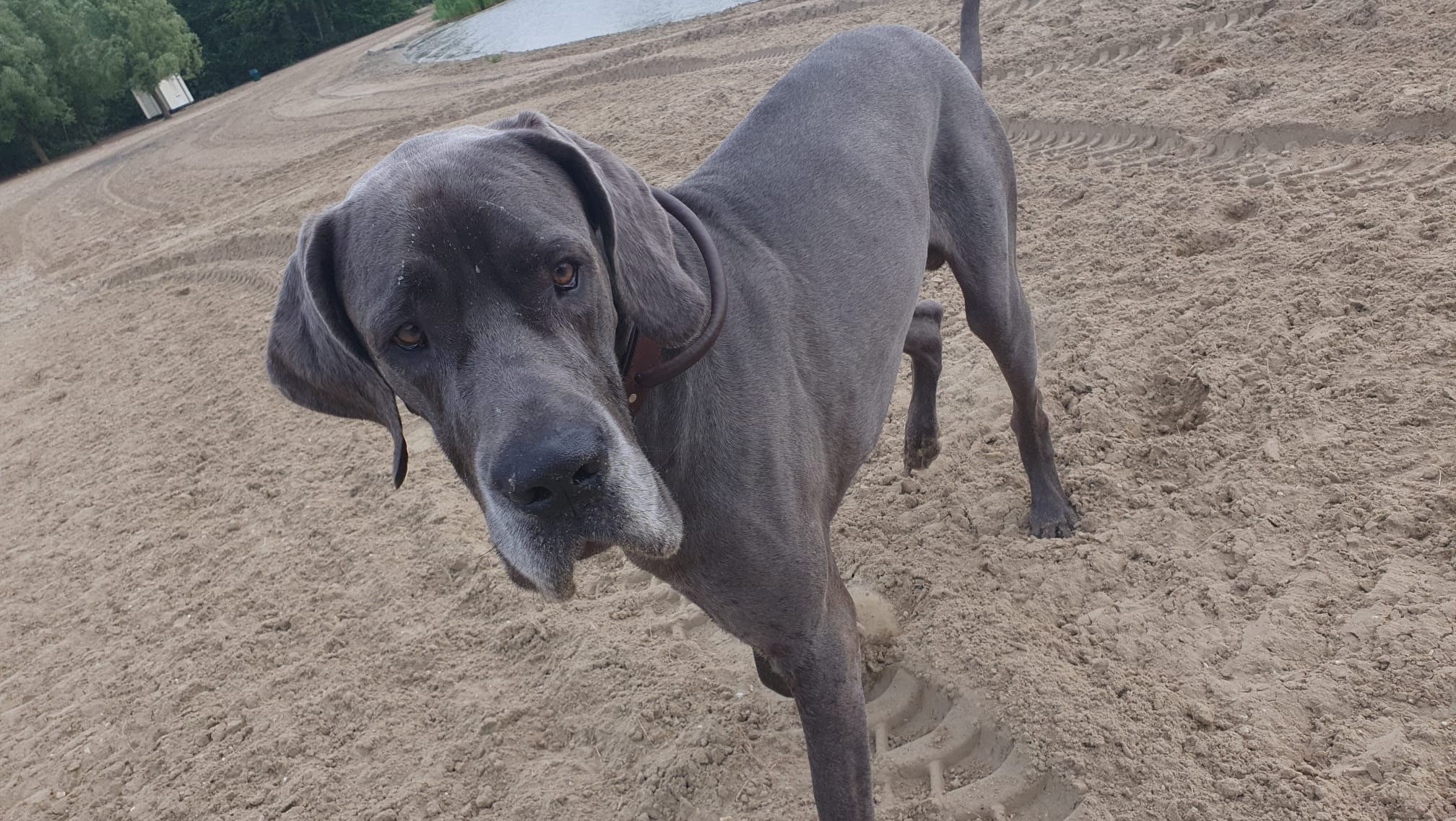 Ein letzter Ruheplatz für Lorenz photo