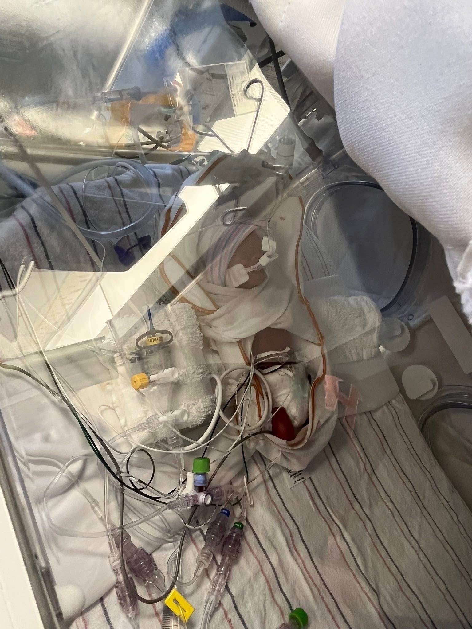 Support Baby Heartlynn's Fight in the NICU campaign photo, 6 of 8
