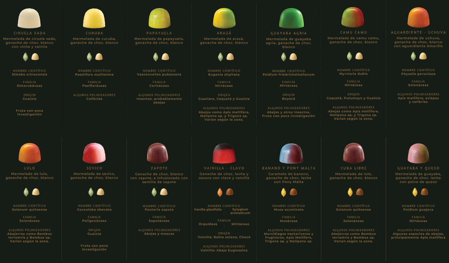 Protect Biodiversity with Colombian Chocolate campaign photo, 7 of 8
