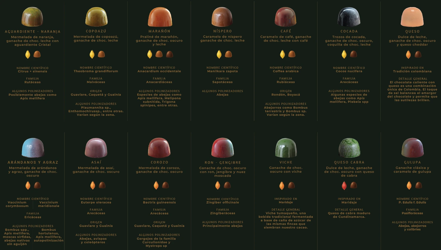 Protect Biodiversity with Colombian Chocolate campaign photo, 2 of 8