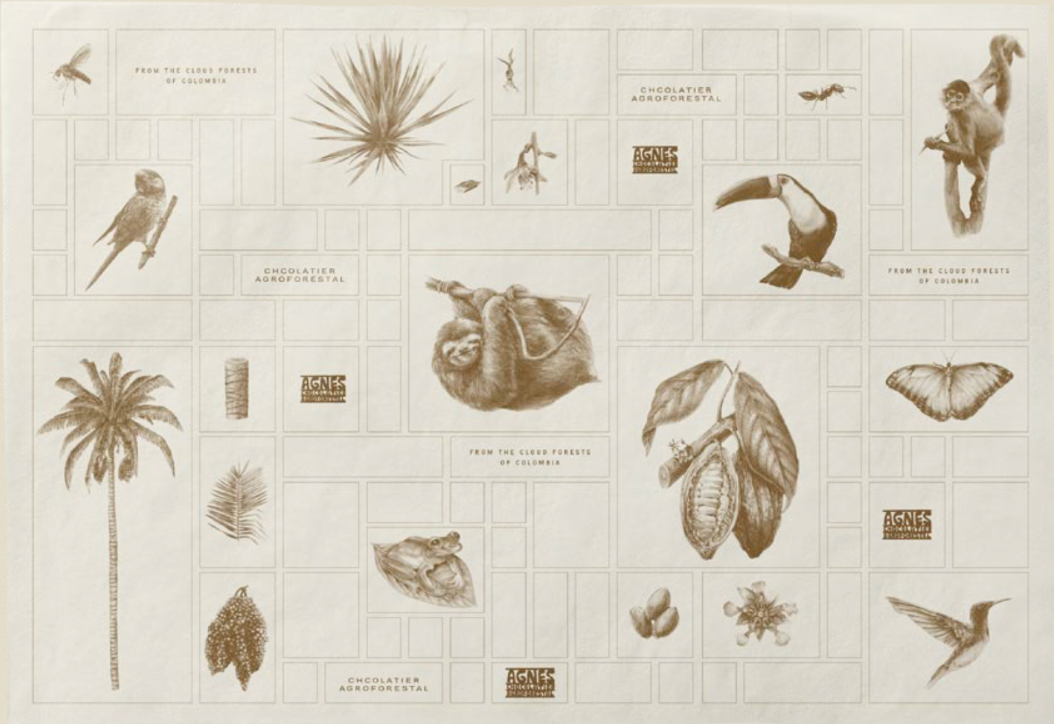 Protect Biodiversity with Colombian Chocolate campaign photo, 5 of 8