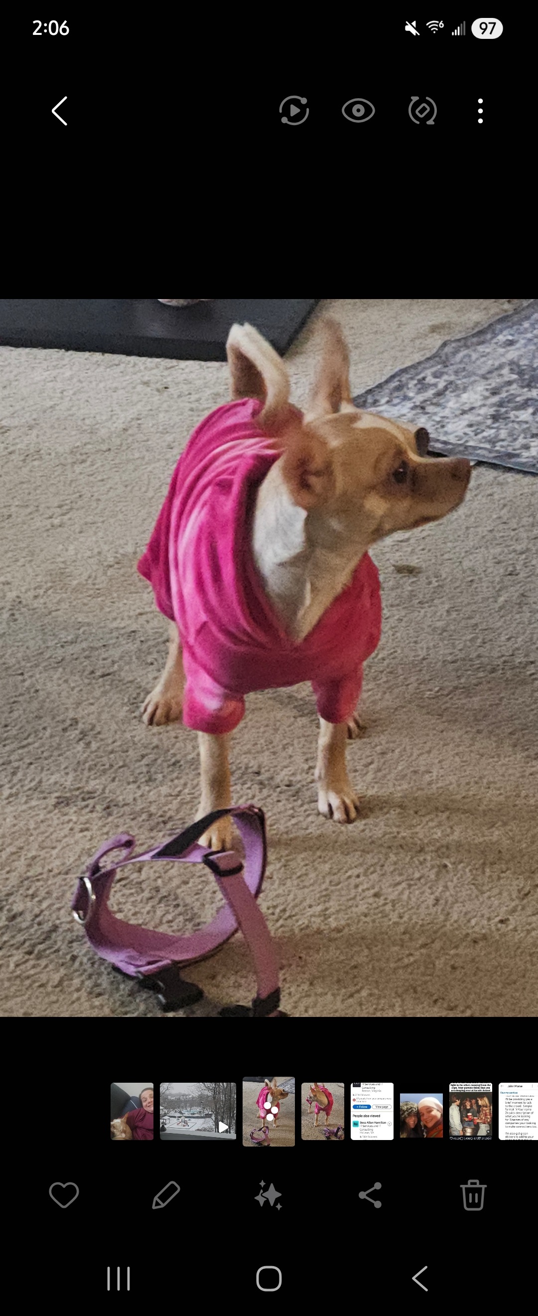Help Tilly Get the Surgery She Needs campaign photo, 2 of 6