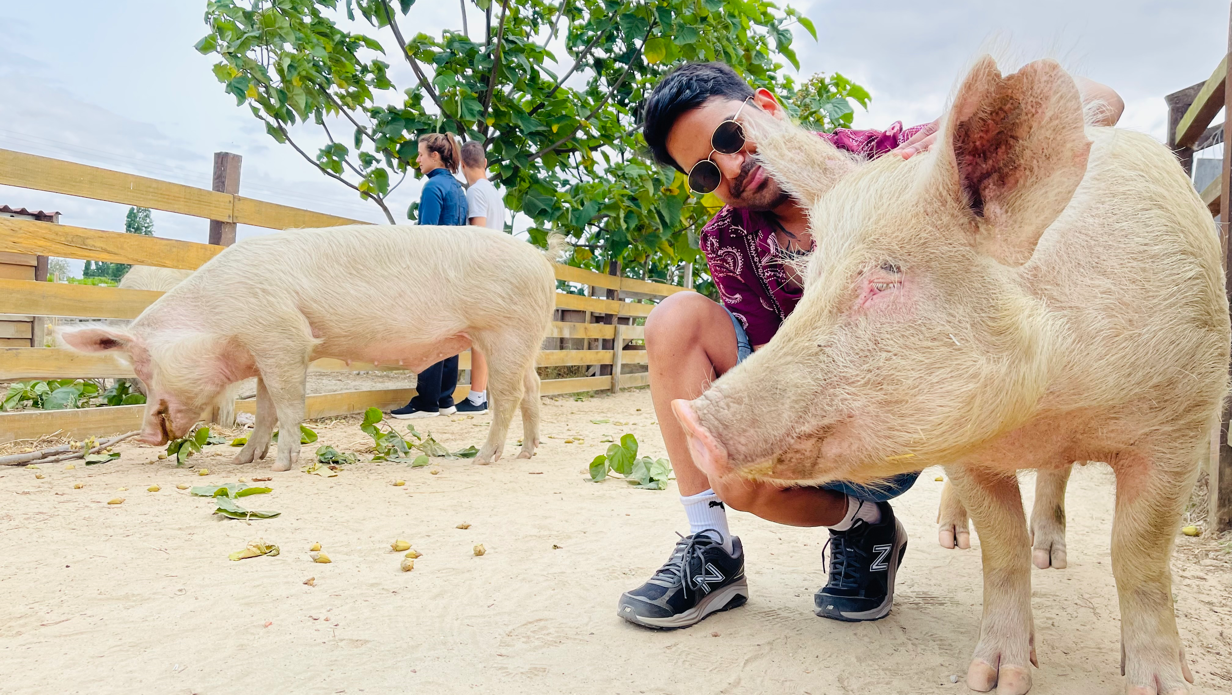 Varun's Birthday Fundraiser for Save & Care Sanctuary