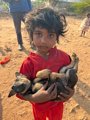 ehrenamtliche Arbeit in Indien campaign photo, 4 of 8