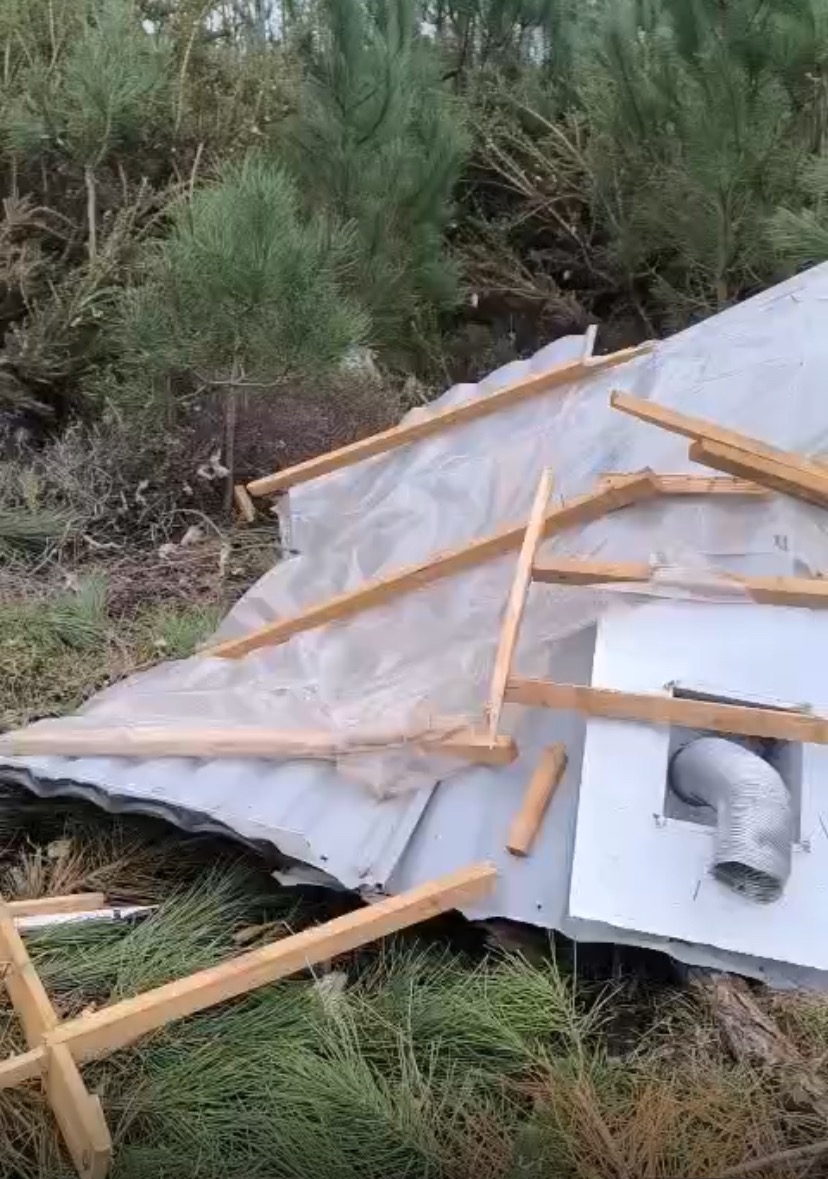 Andreia's Family -Kristin Storm leaves devastation campaign photo, 6 of 8