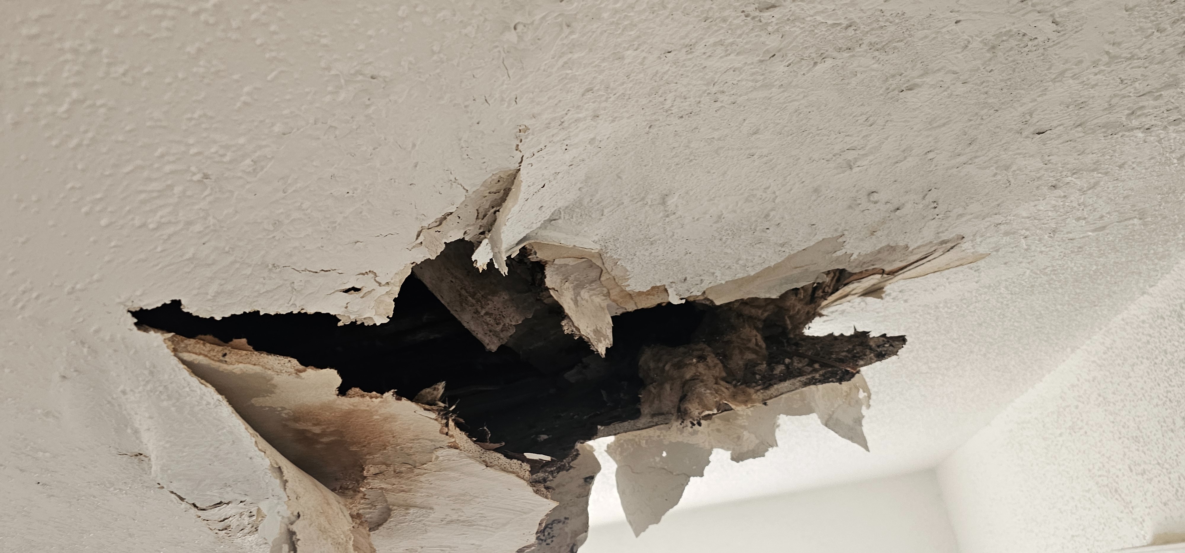 Help with Unexpected Repairs and Rising Costs campaign photo, 4 of 8