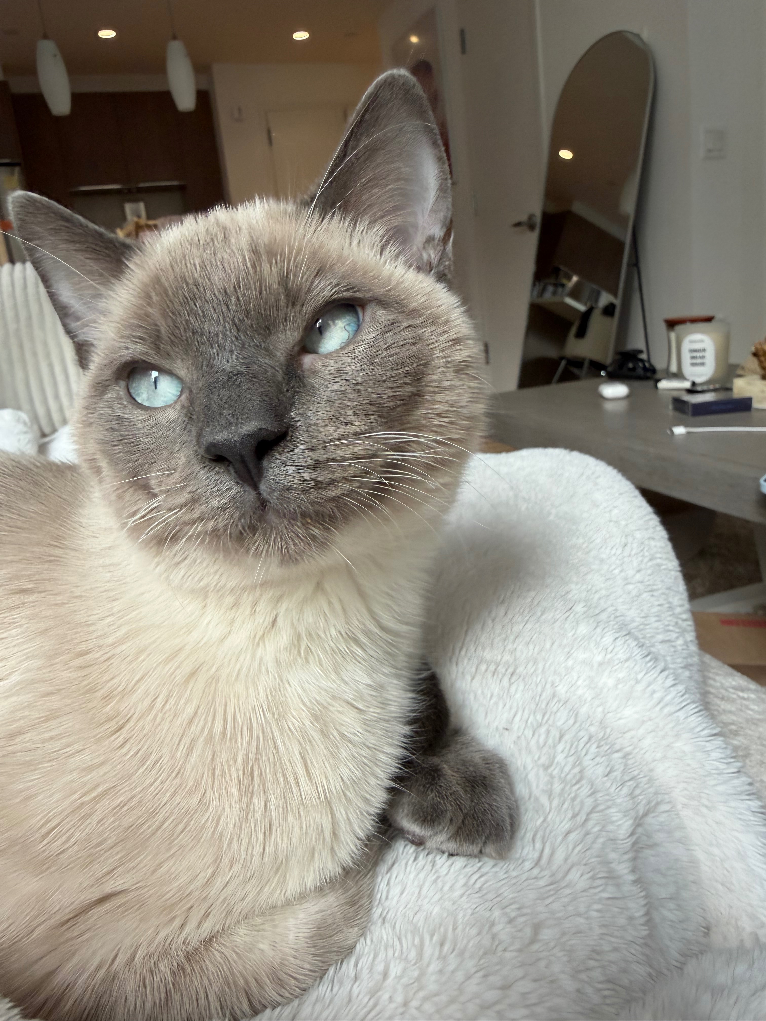 Help Timmy Get Life-Saving Surgery campaign photo, 2 of 8