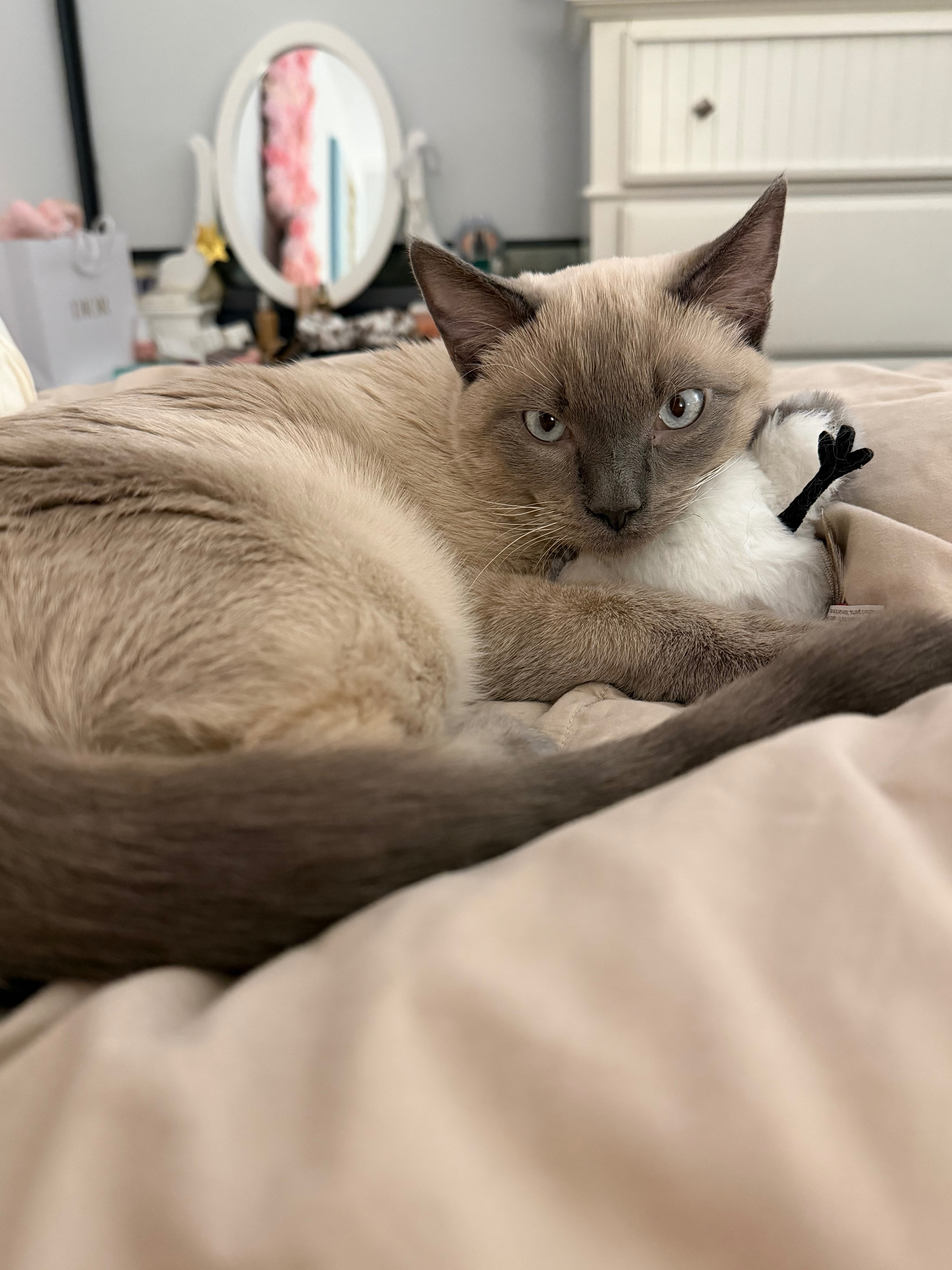Help Timmy Get Life-Saving Surgery campaign photo, 4 of 8