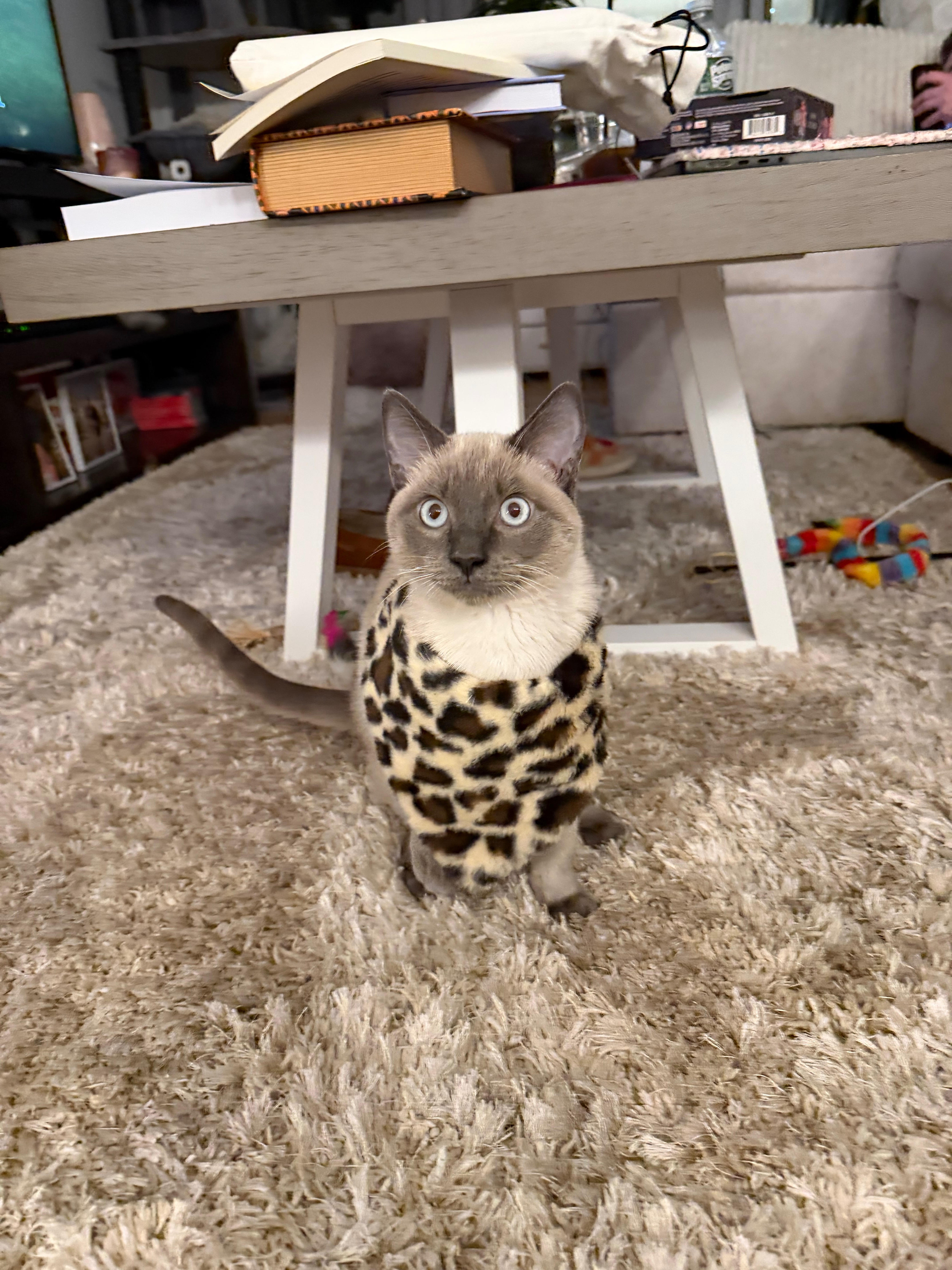 Help Timmy Get Life-Saving Surgery campaign photo, 5 of 8