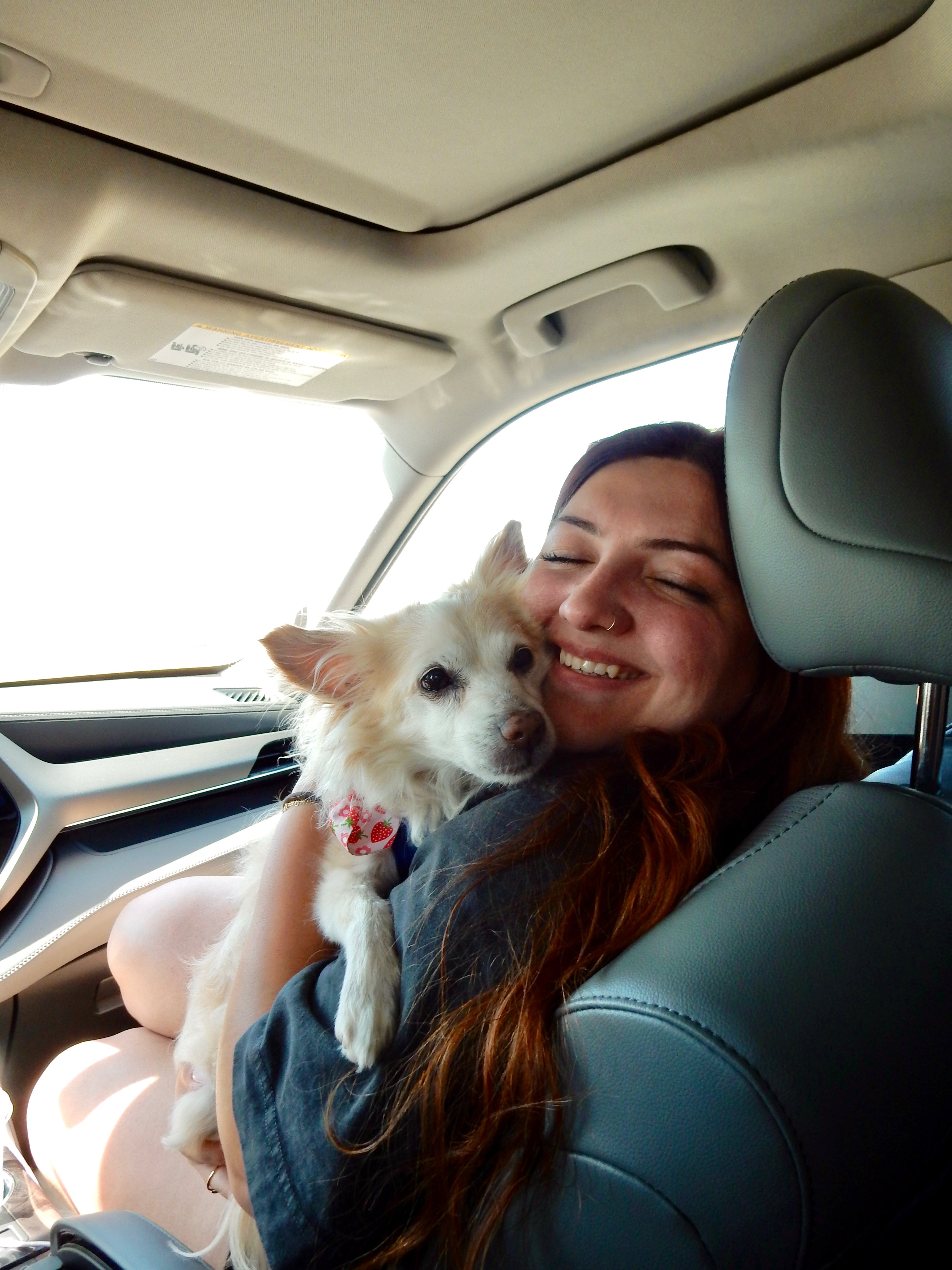Help Milo Heal - Support Nicole & Her Best Friend campaign photo, 6 of 8