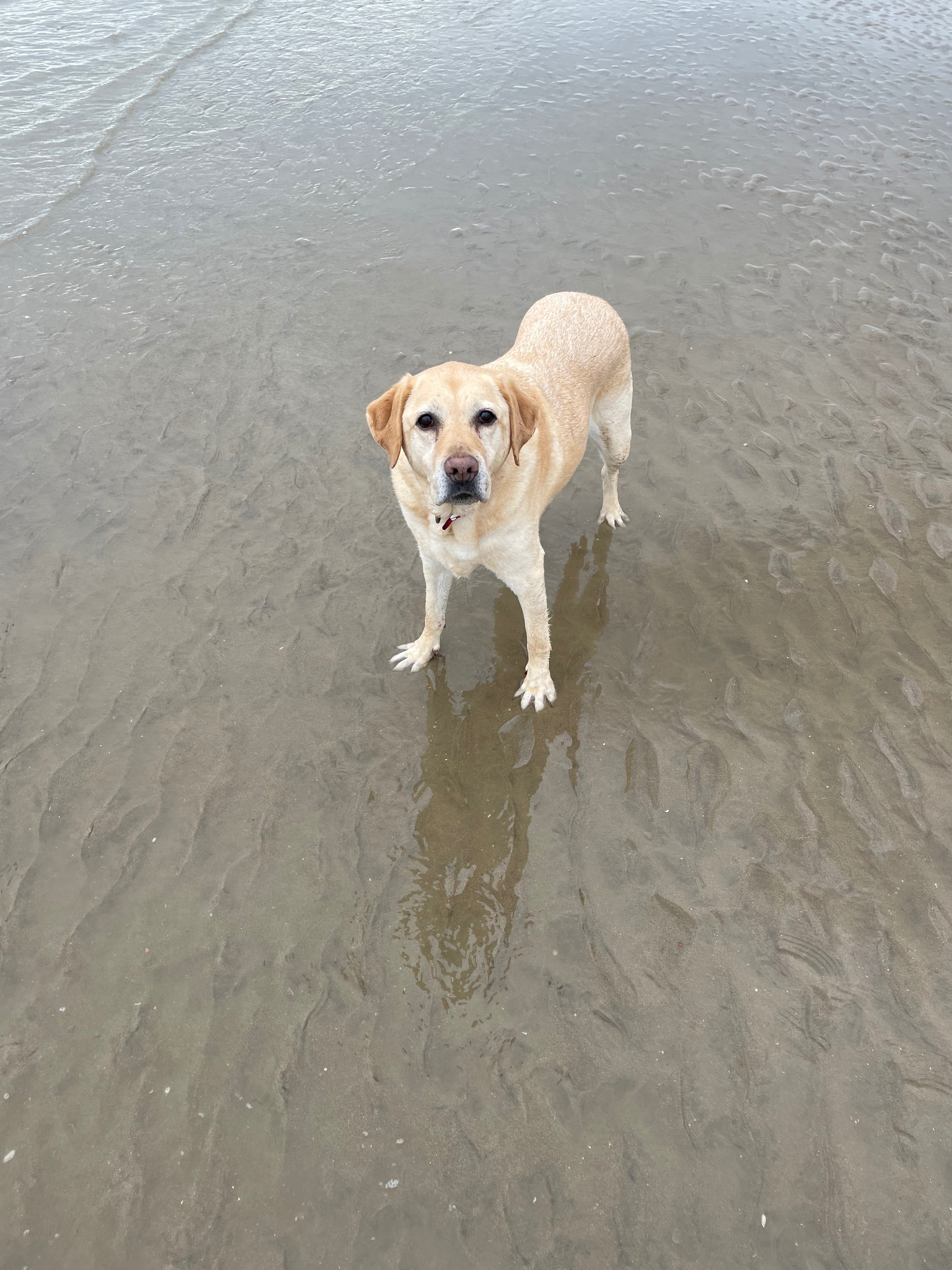 Help max get best care campaign photo, 7 of 8