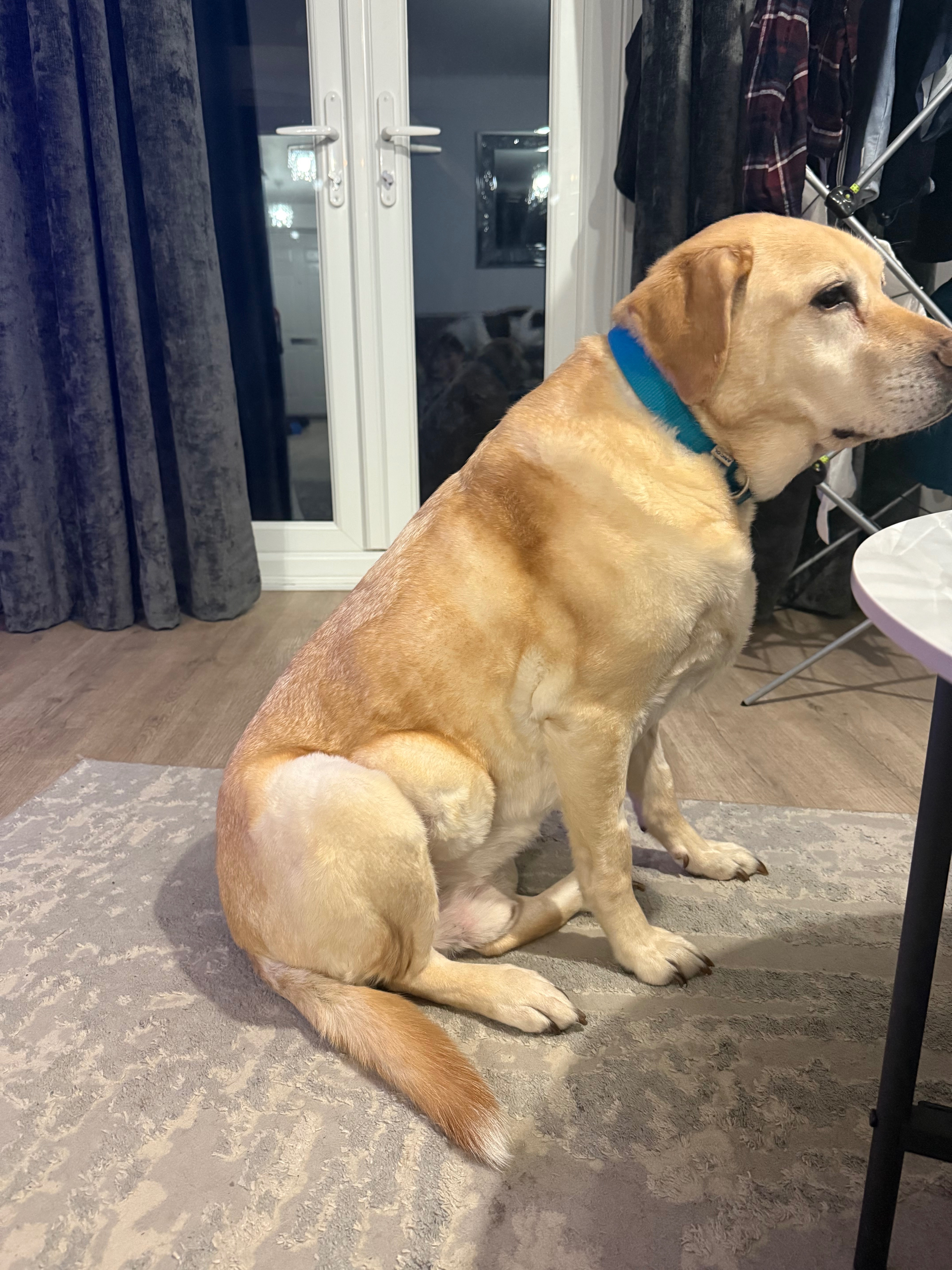 Help max get best care campaign photo, 4 of 8